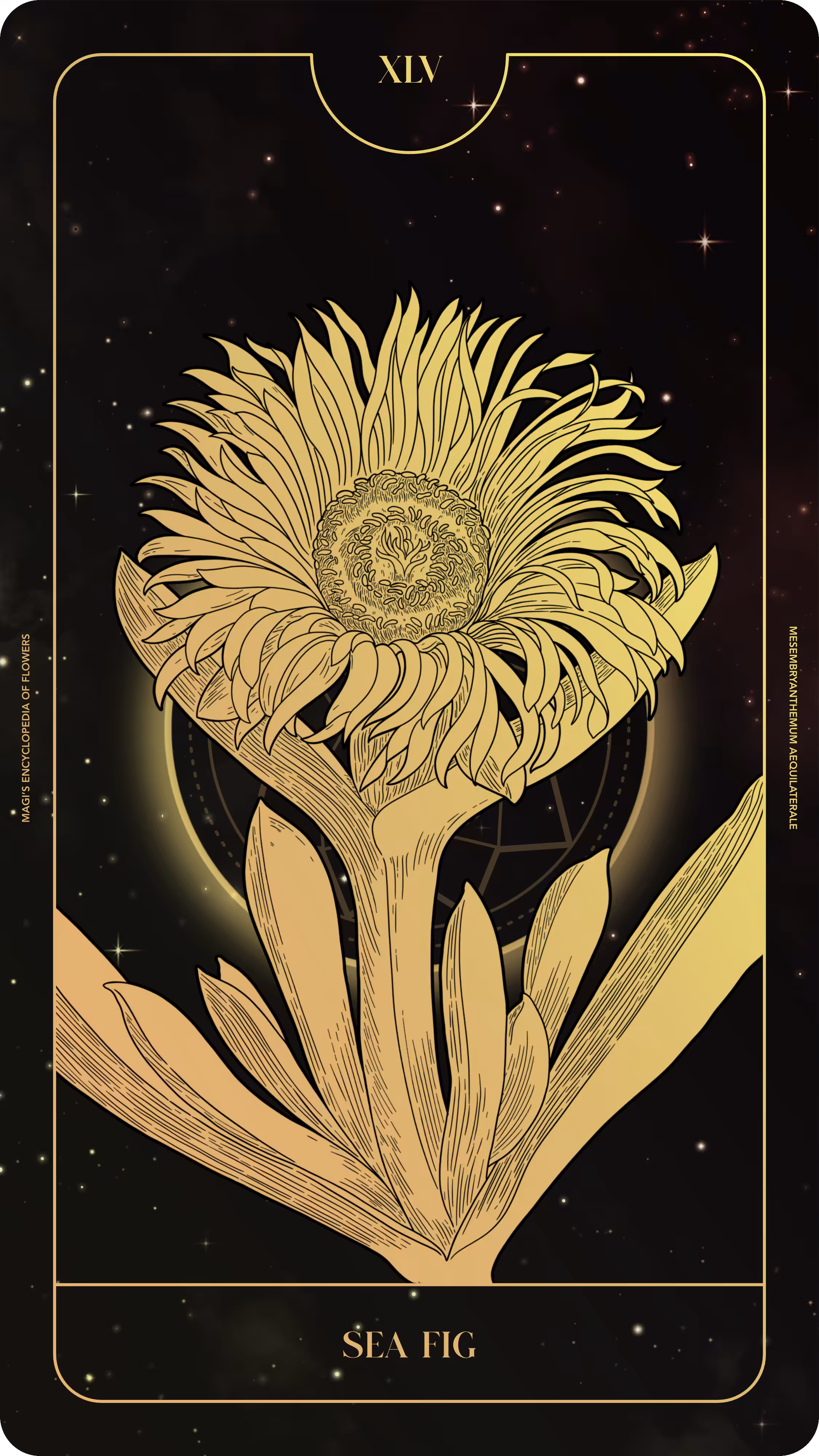 045 Sea Fig