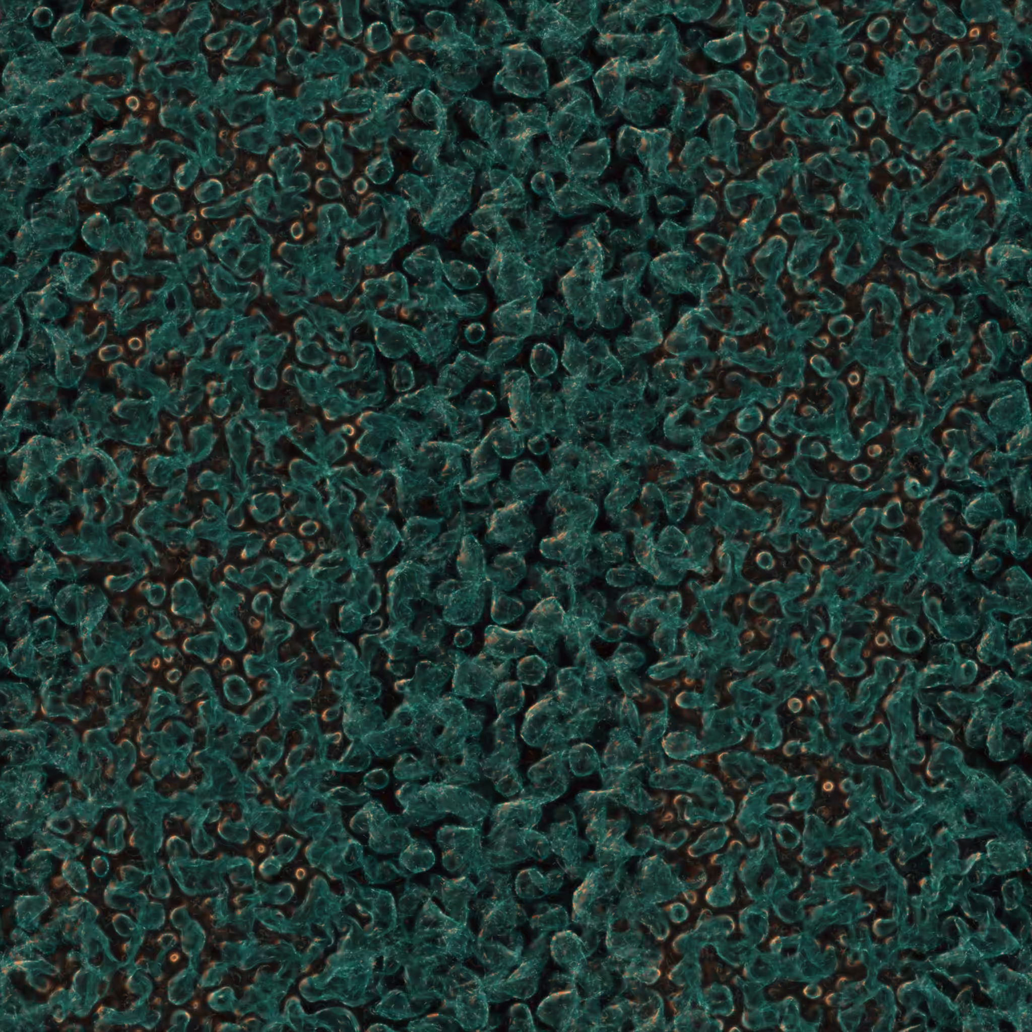saprophyte #113