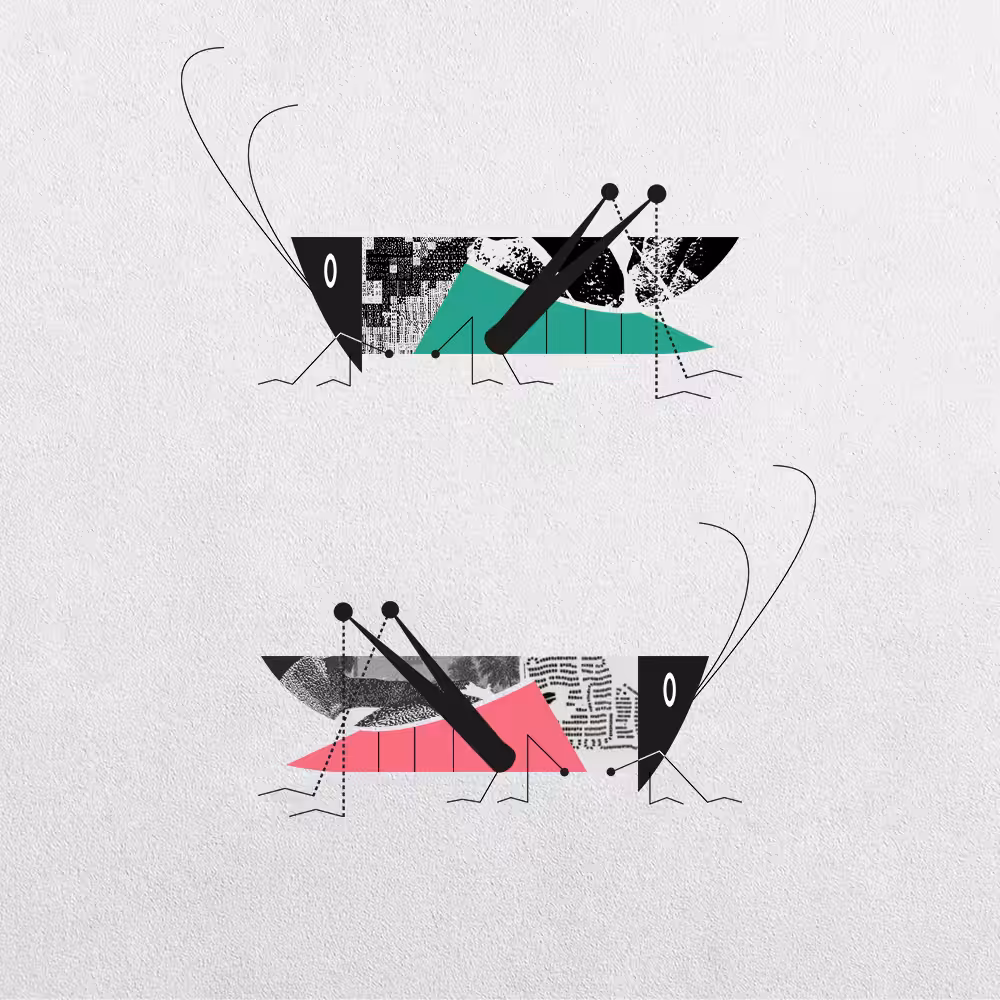 Grasshopper Abstraction #21