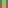 Color Play 05