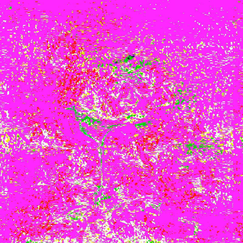 QUANTUM*FLOWERS #12