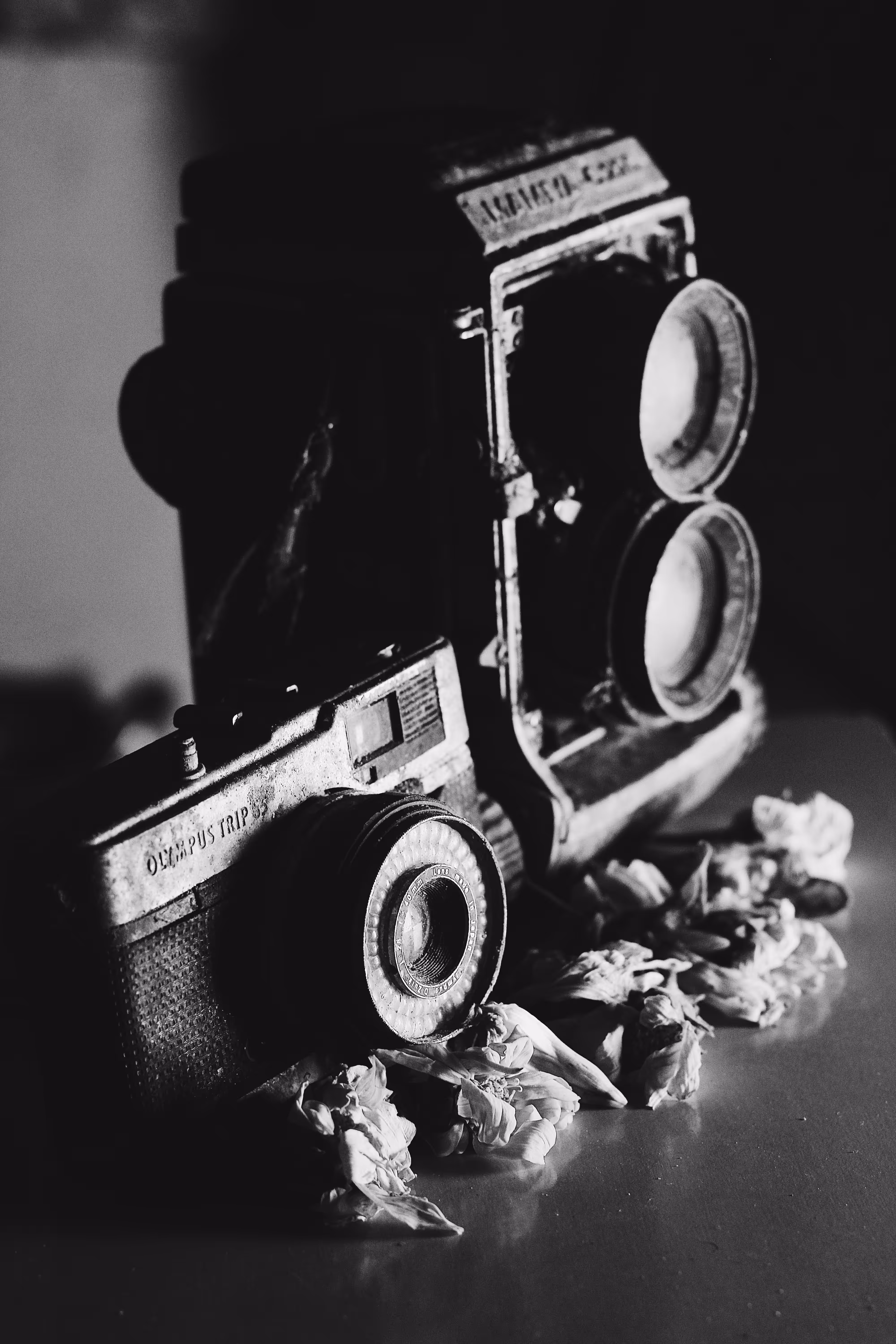 Faded Frames of Forgotten Light