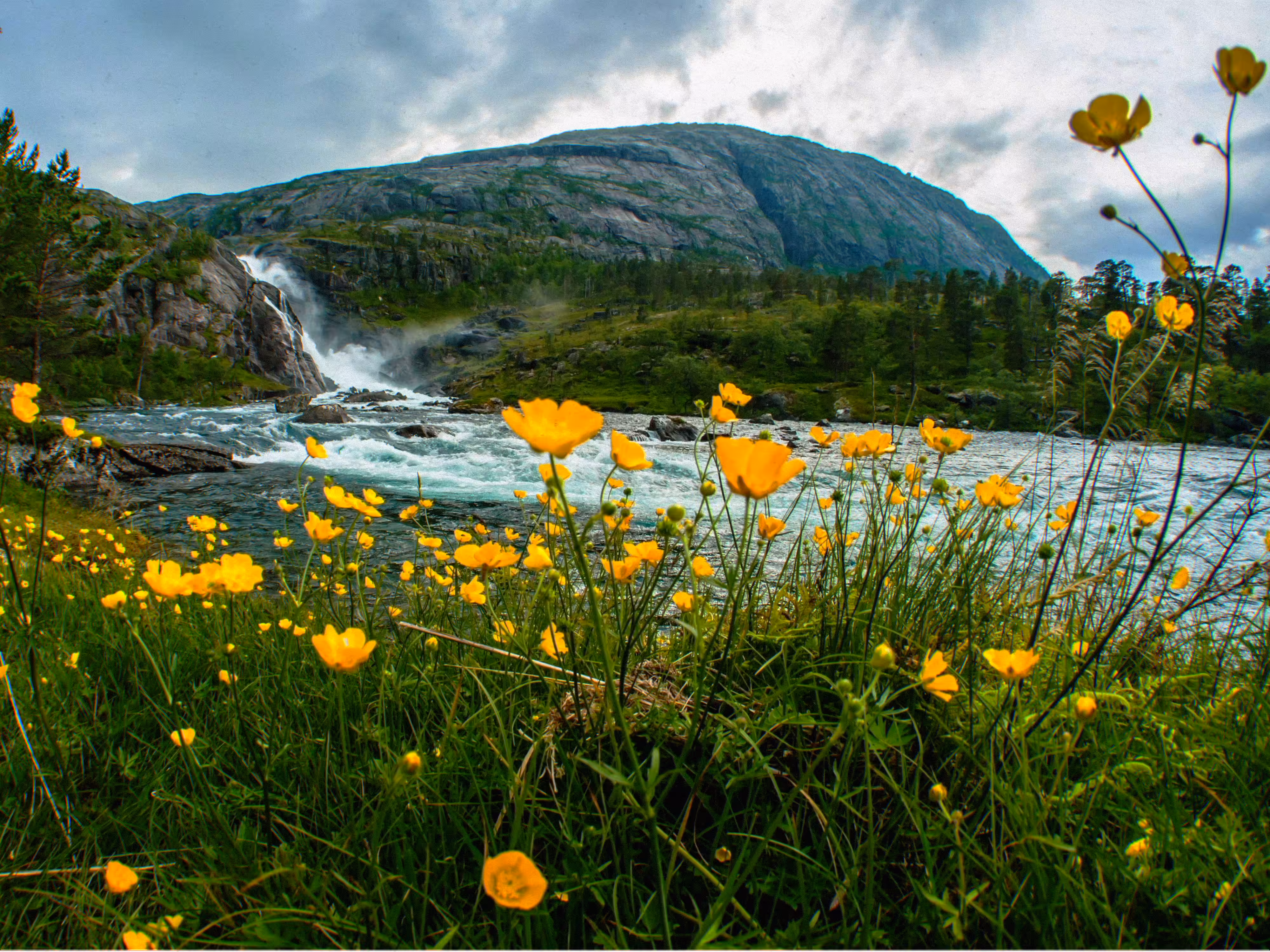 Beauty through my eyes