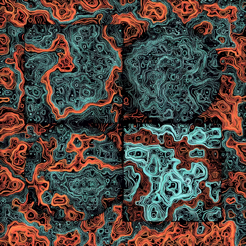 The vortex #117