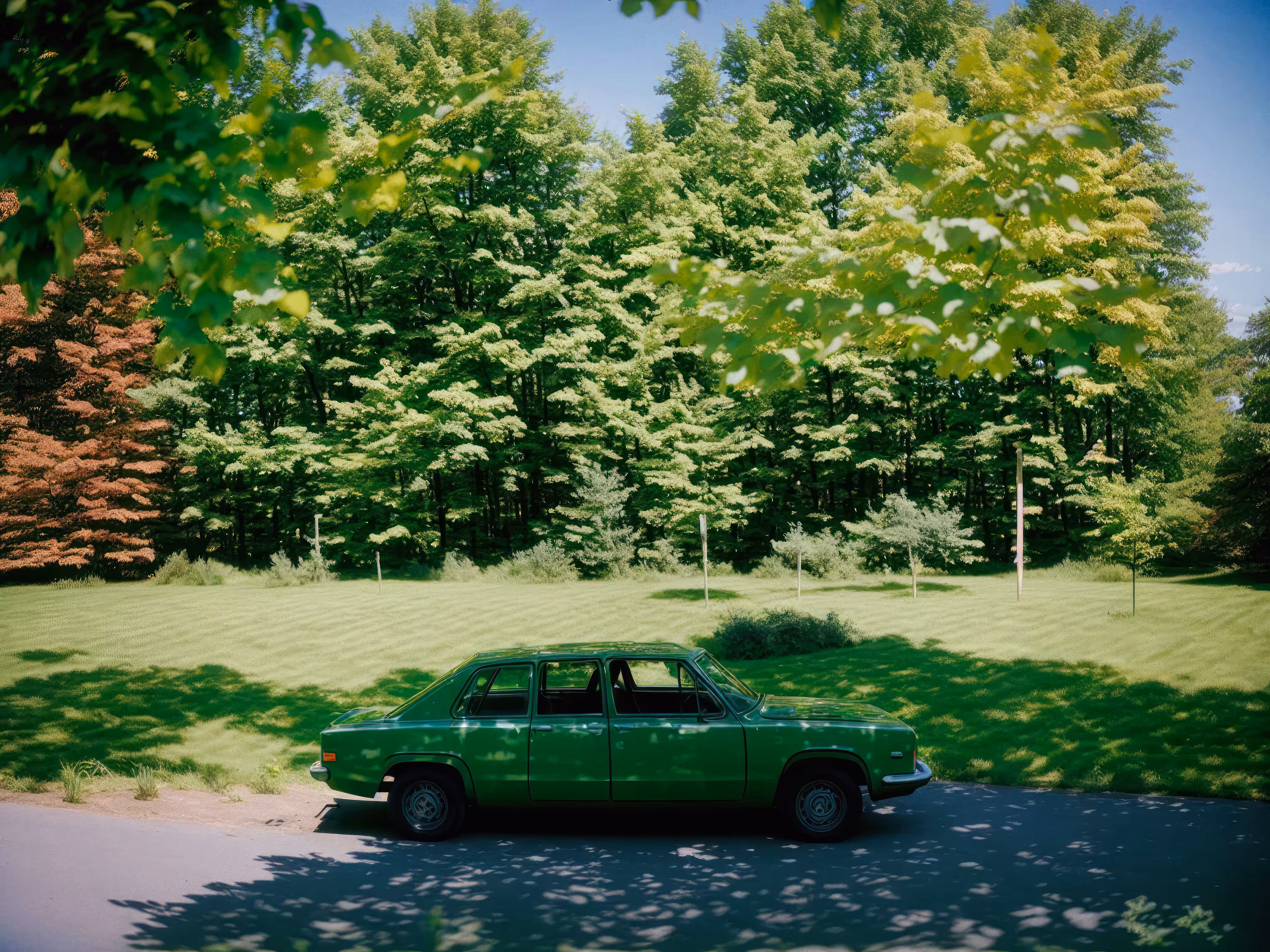 Eco-Friendly Ride