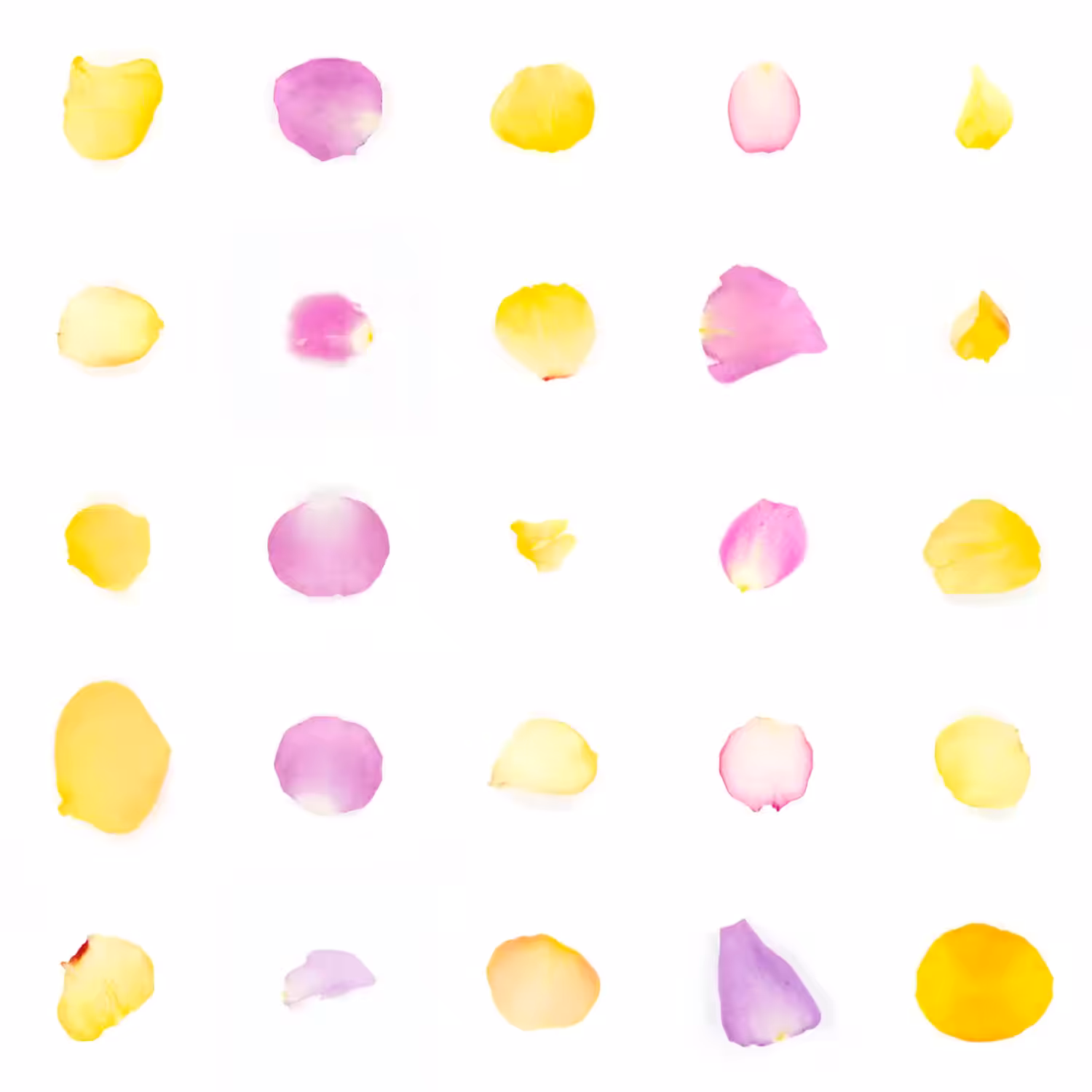 Infinite Petals 5x5#1390