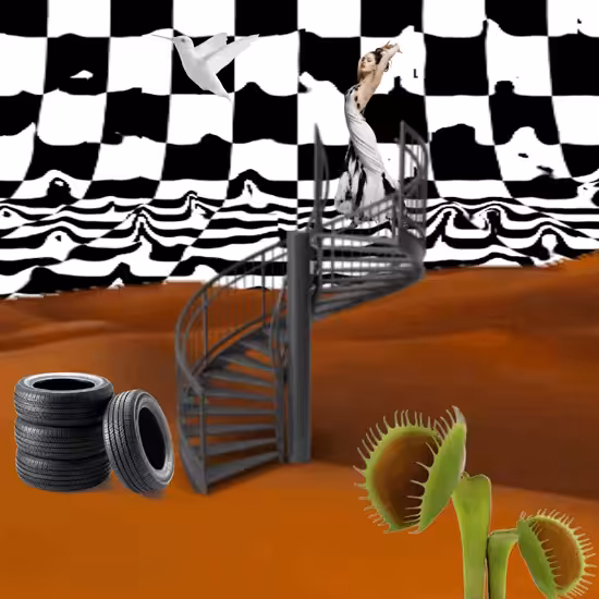The Desert Stairs
