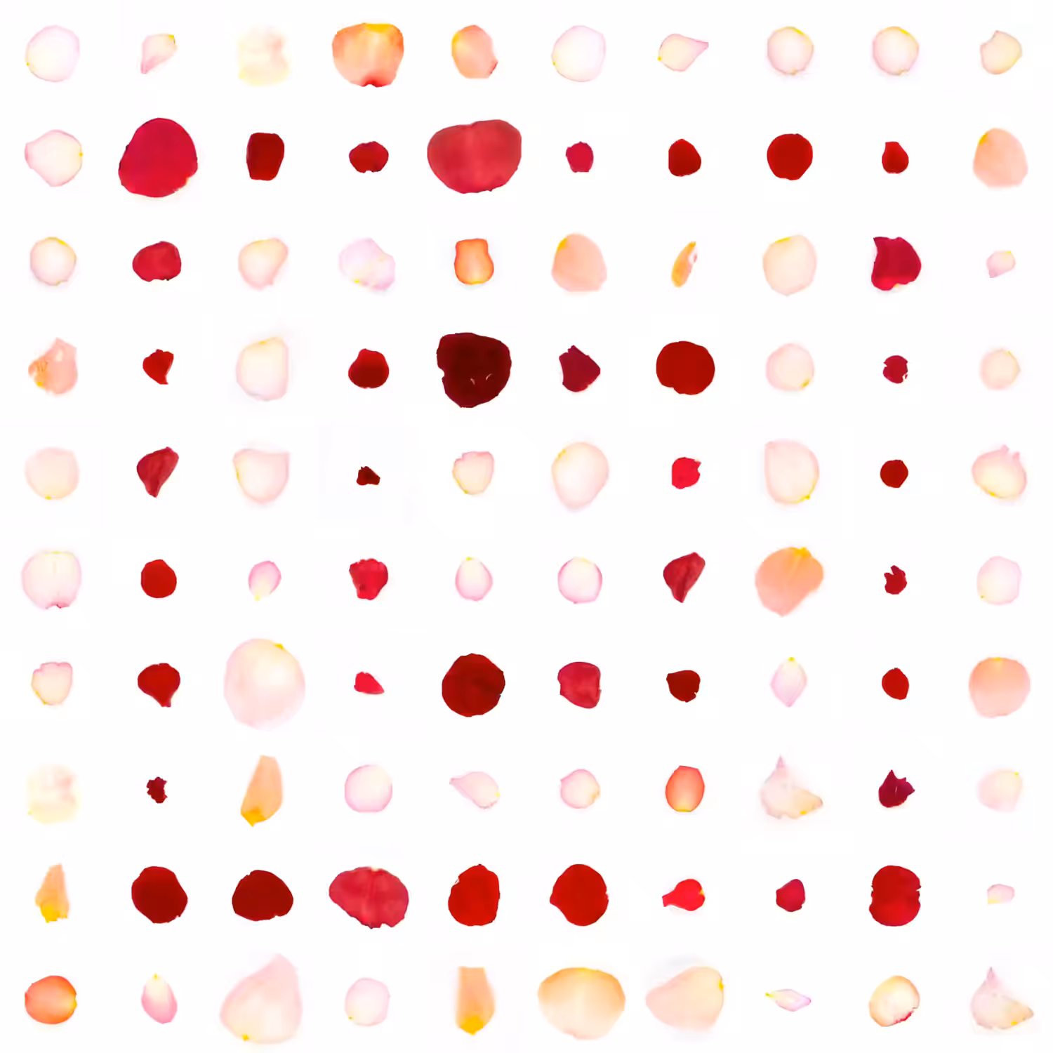 Infinite Petals 10x10#10151