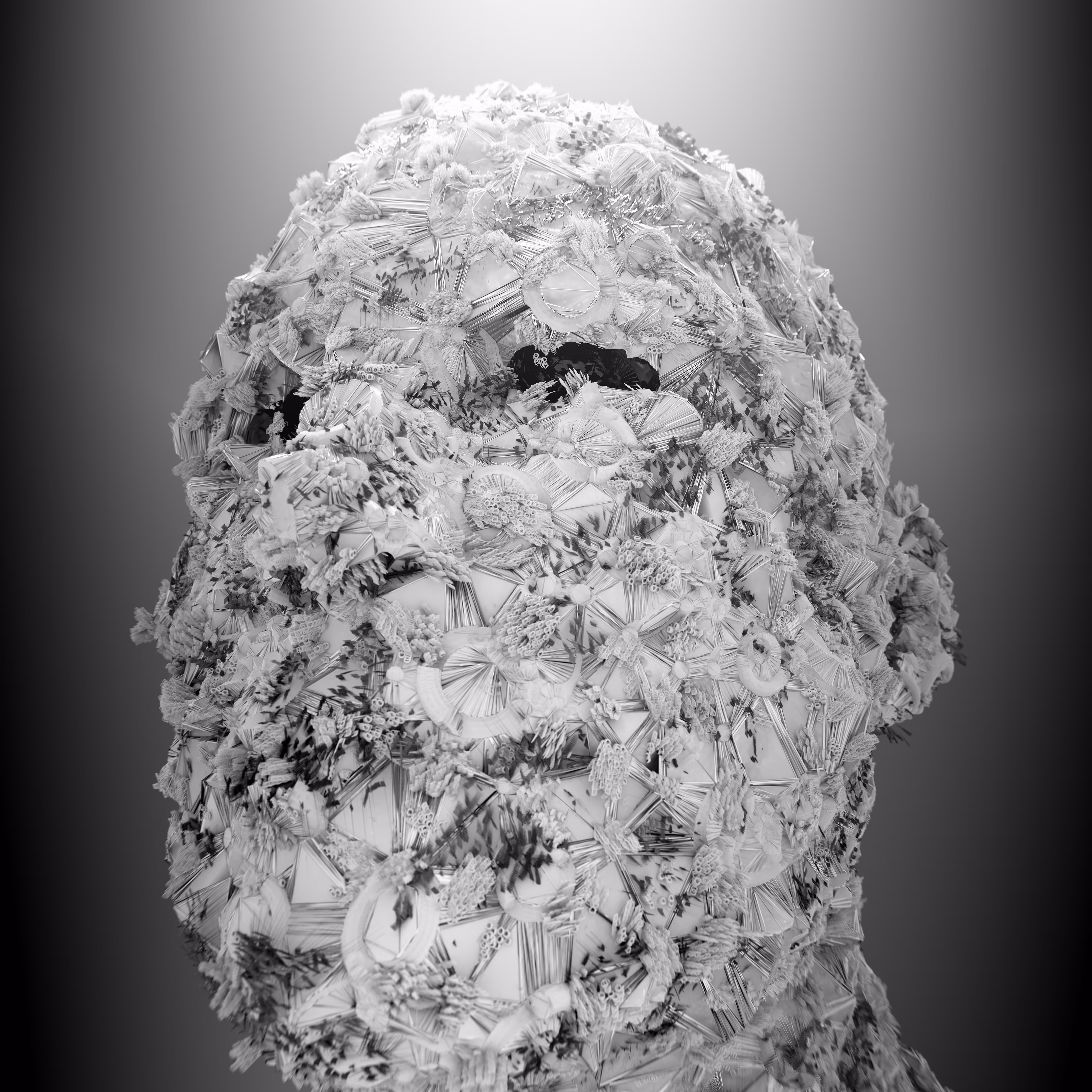 Coral-0x01