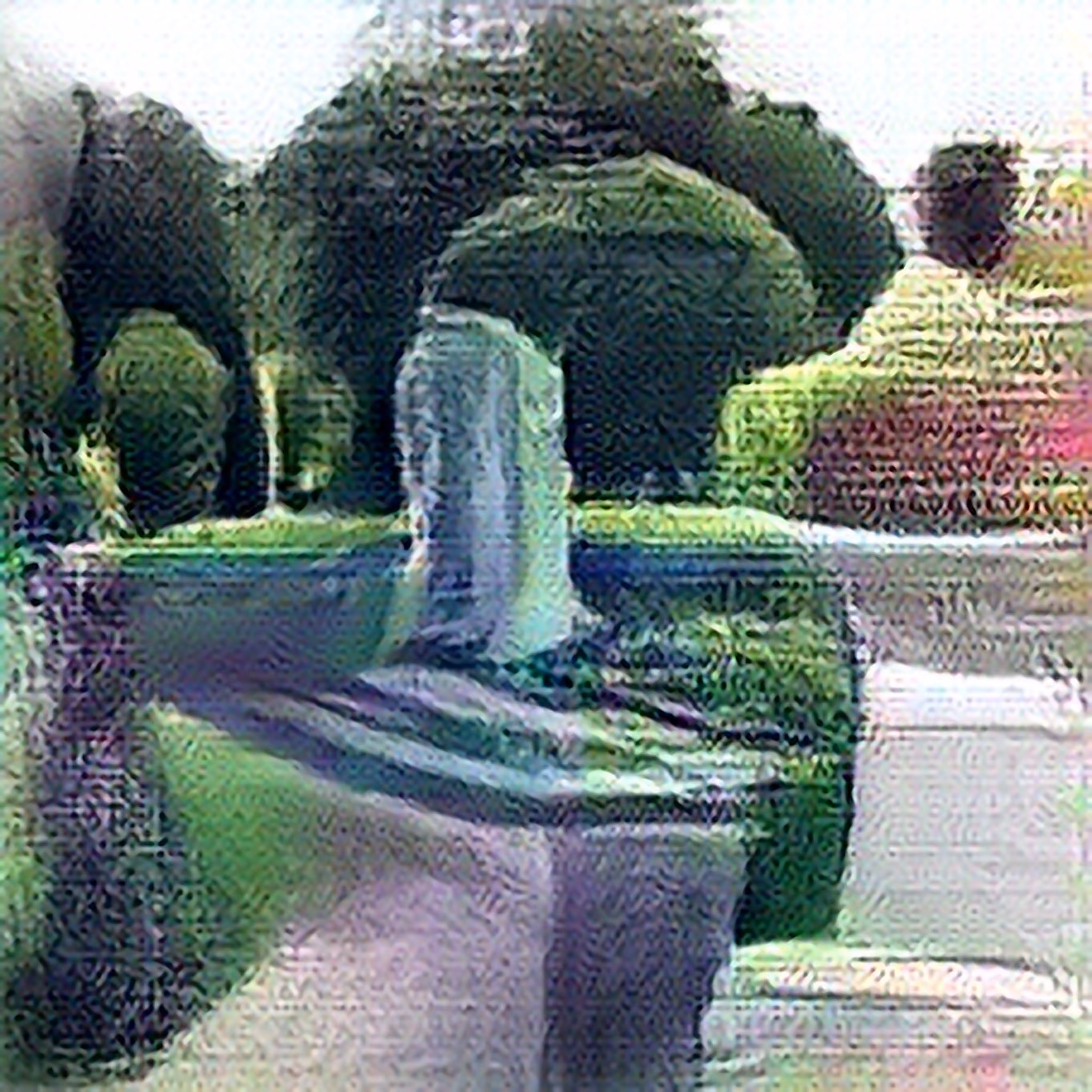 RaiSR RuiNS : RaiSR RuiNS_00049
