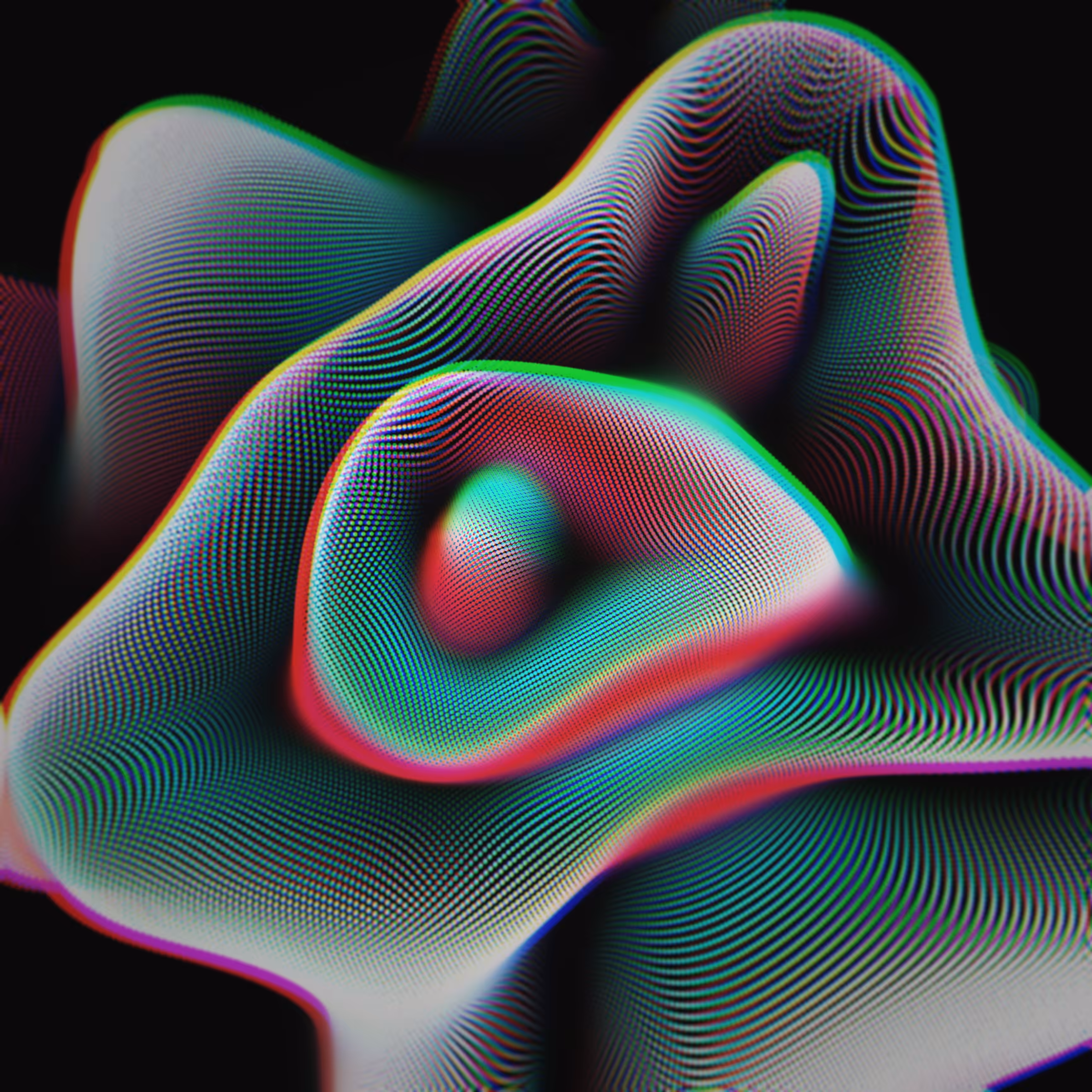 Floral Paradox