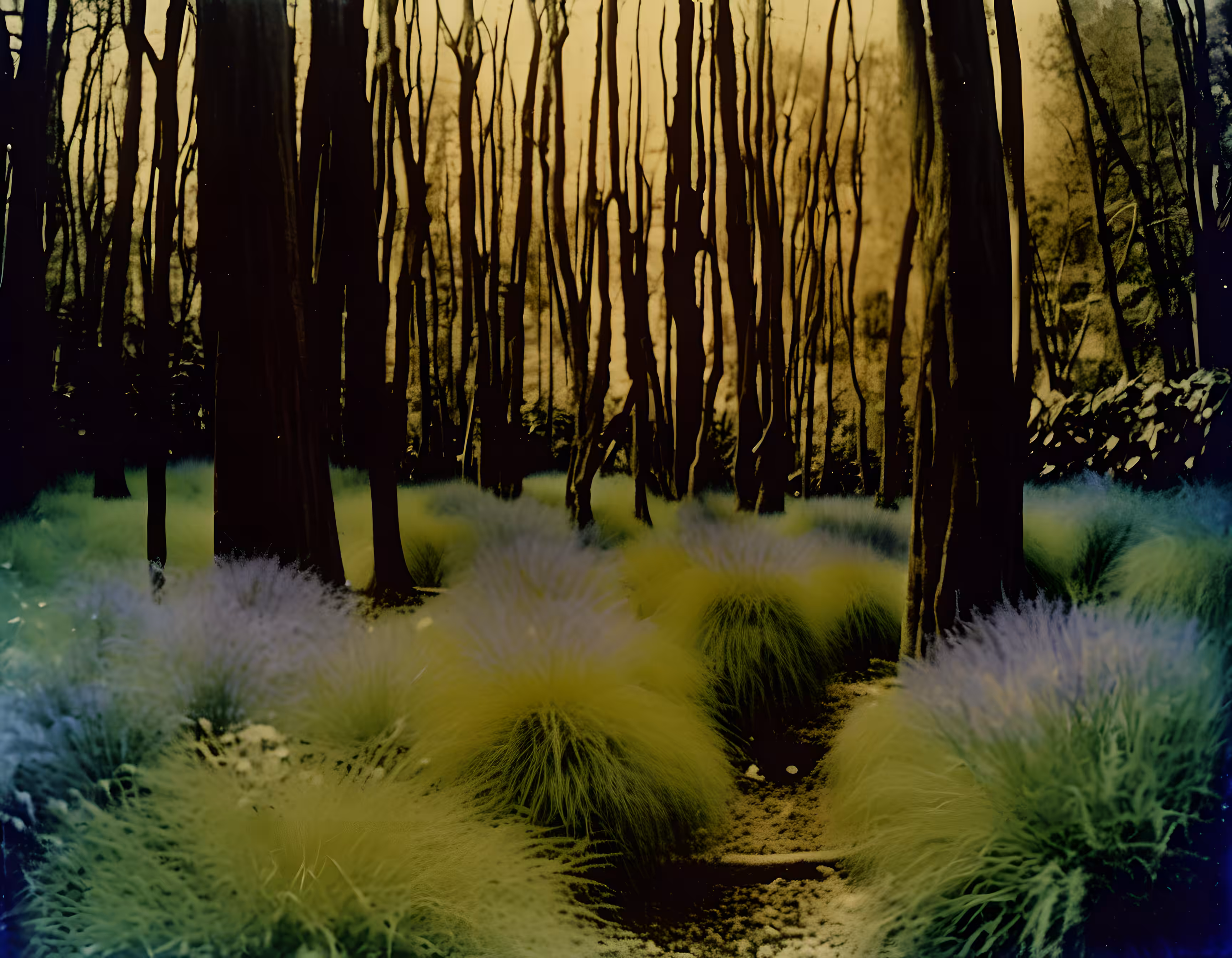 Energy Sufficient Place #16