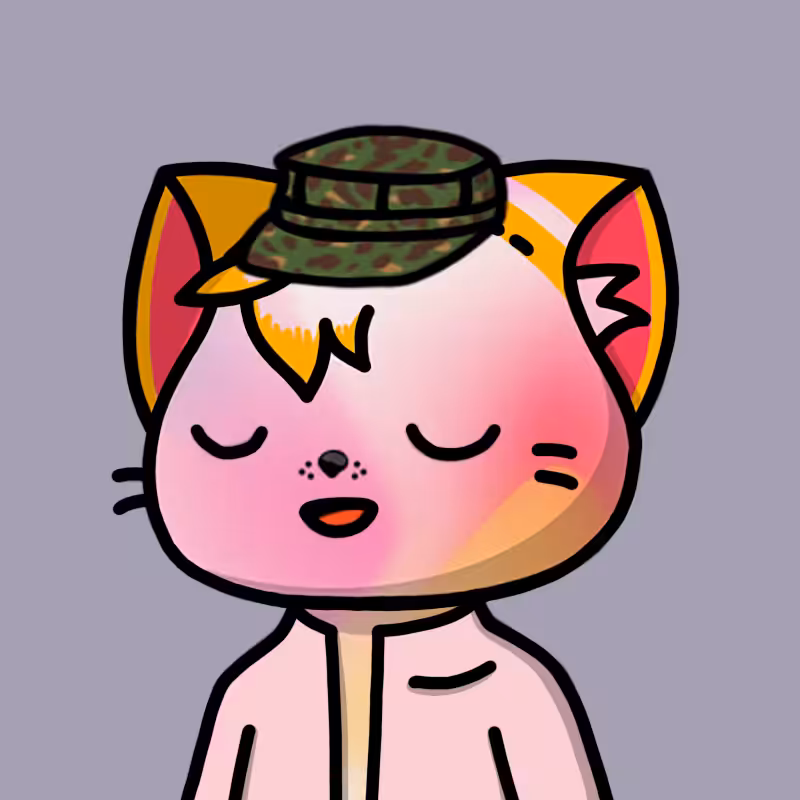 Fx Cool Cat #19