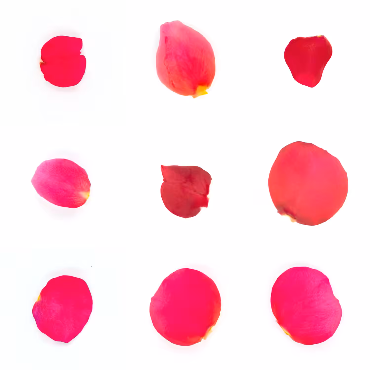 Infinite Petals 3x3#1955