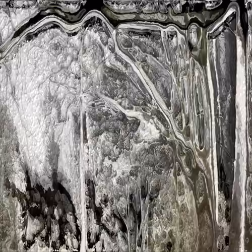 Veins #1