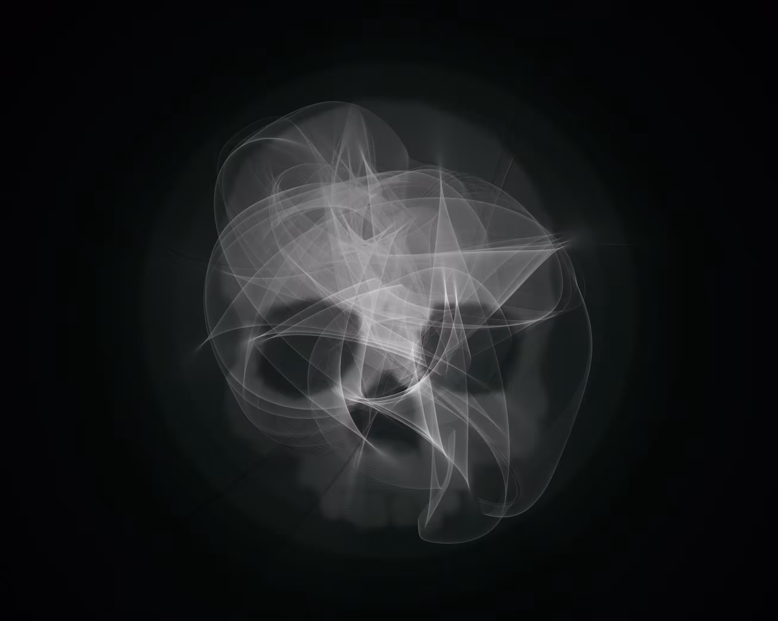 FlowFieldFlow - Skull No. 5 - Monochromatic