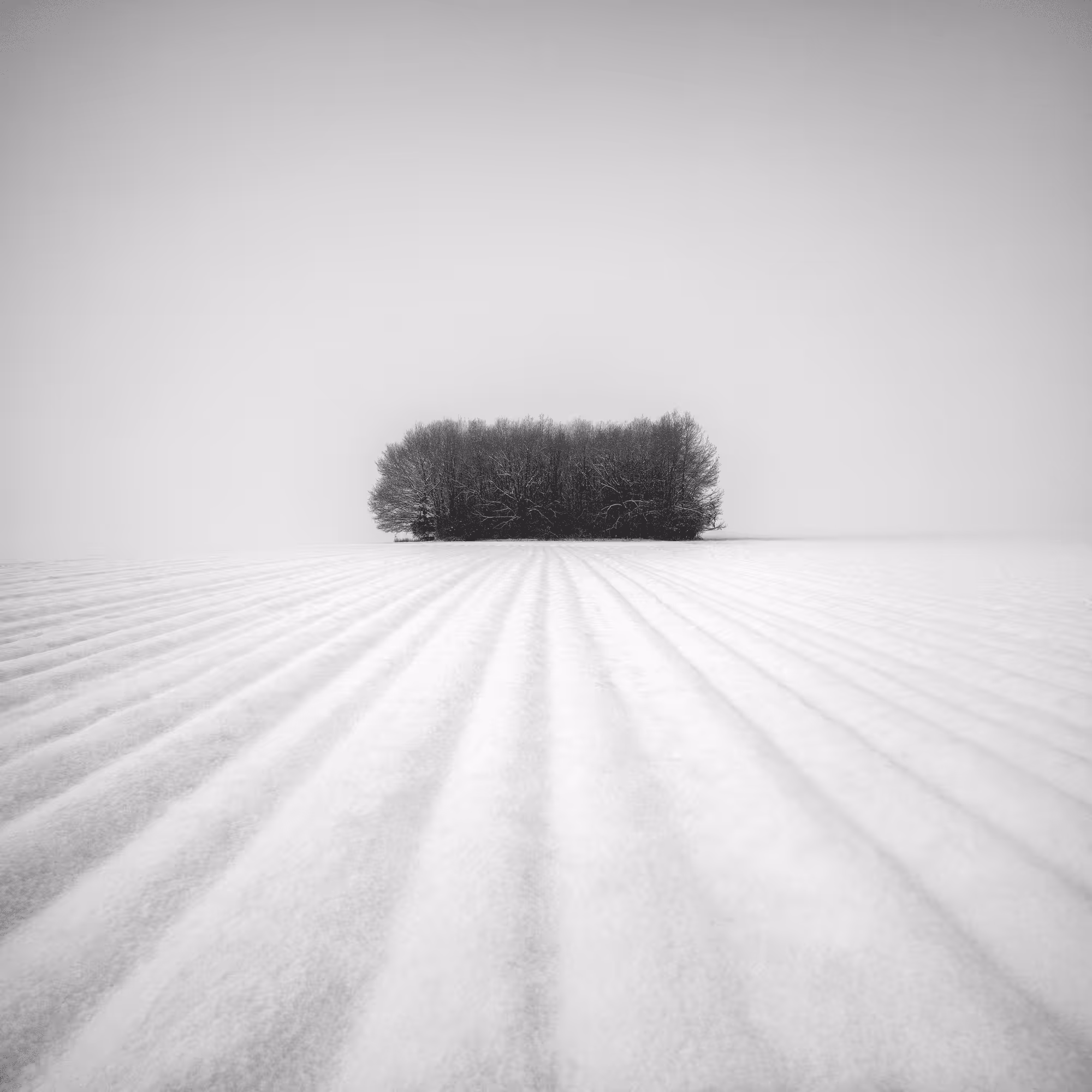 Sound of Silence #5