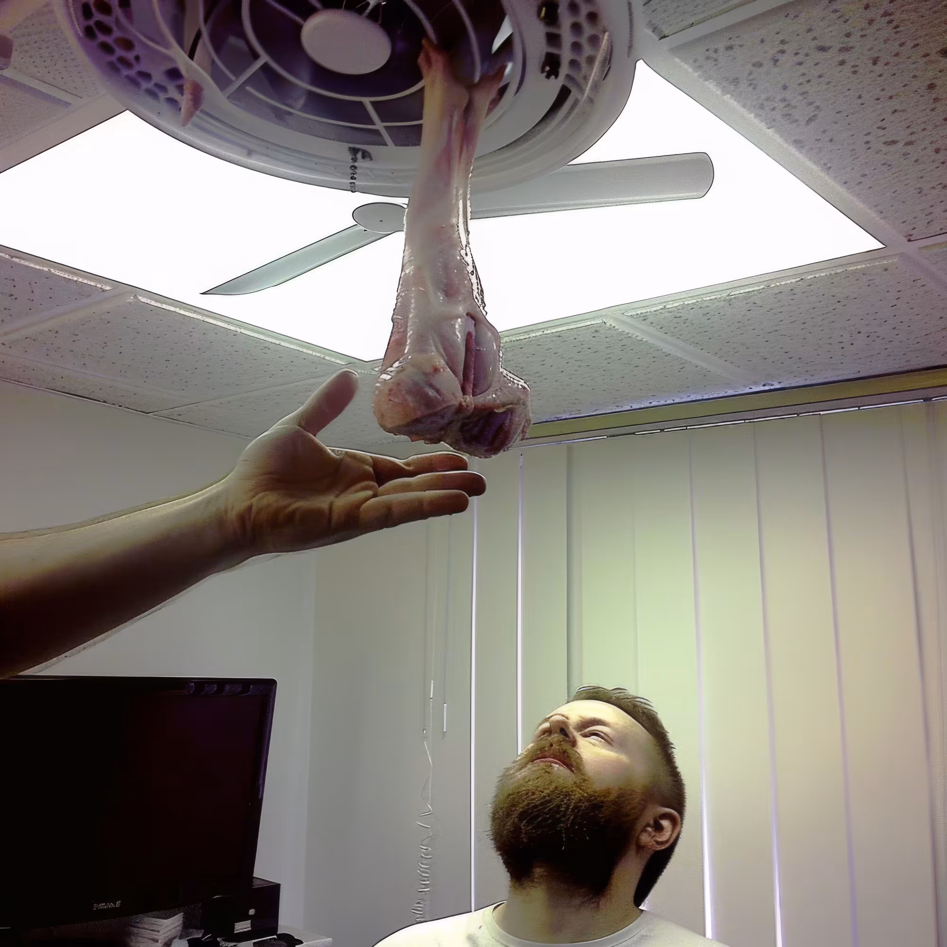 Drooping-Meat