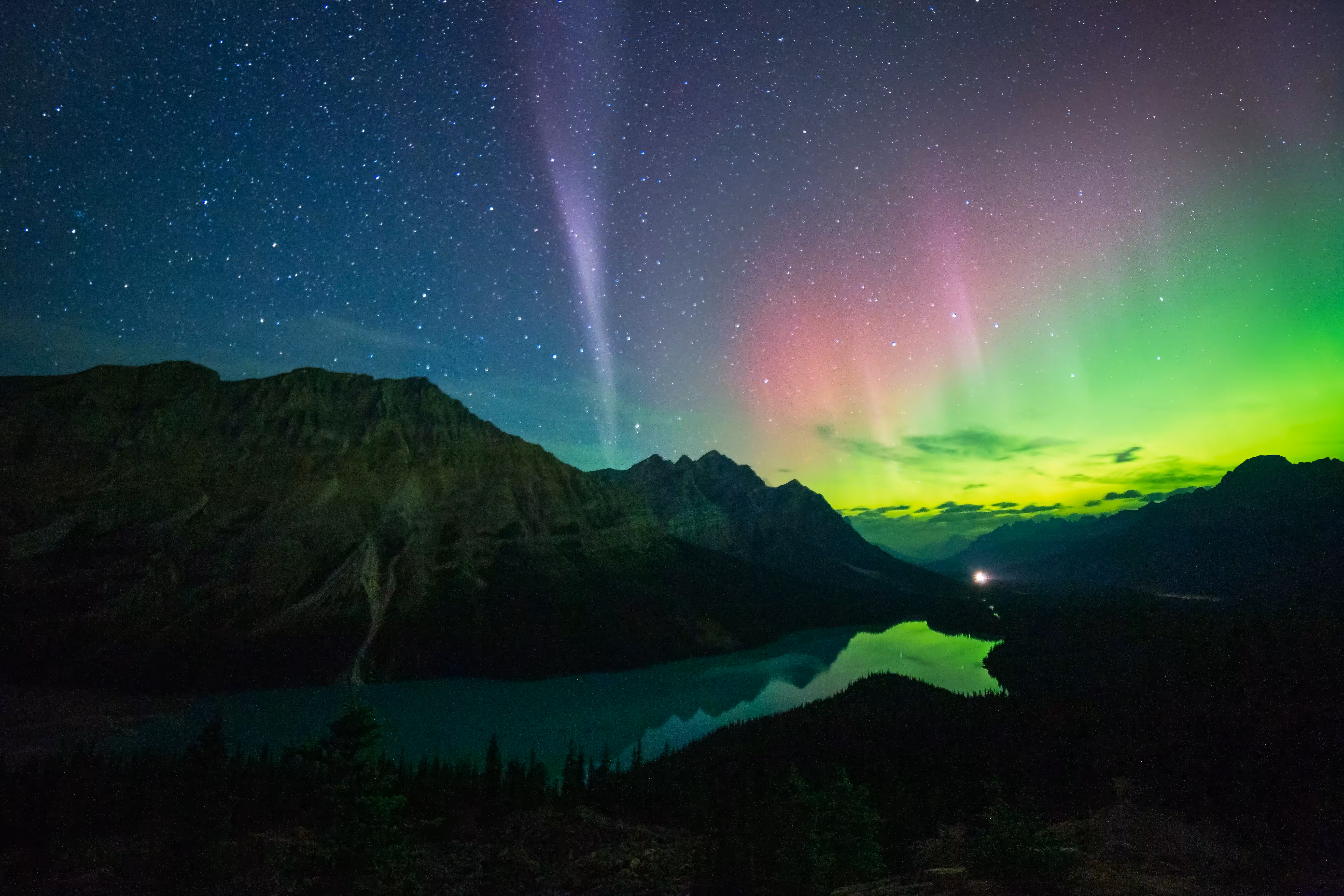 Peyto Aurora
