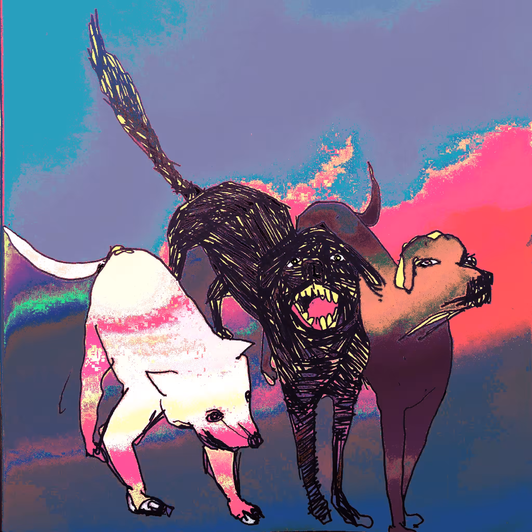 dog meting