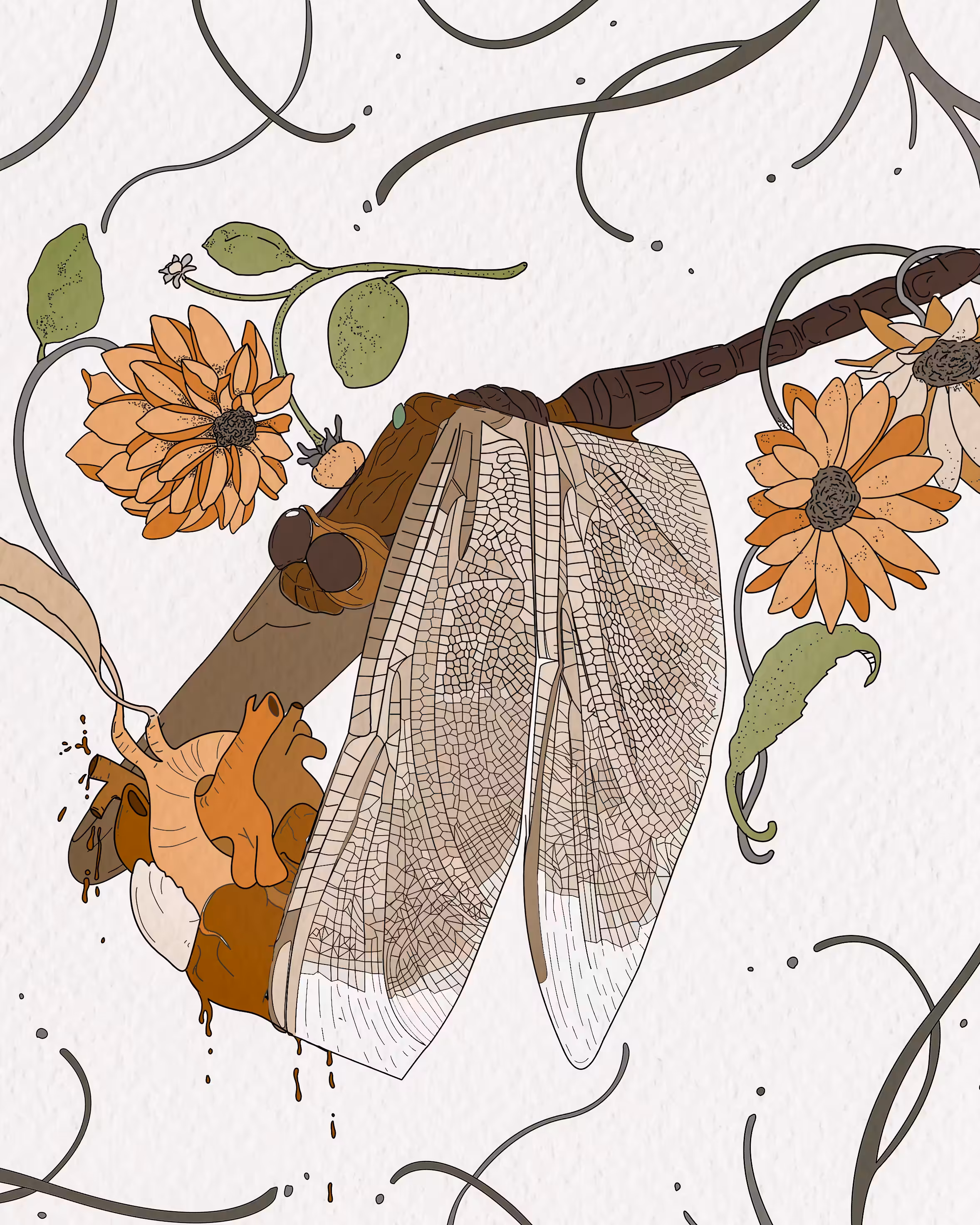 Bloody Dragonfly