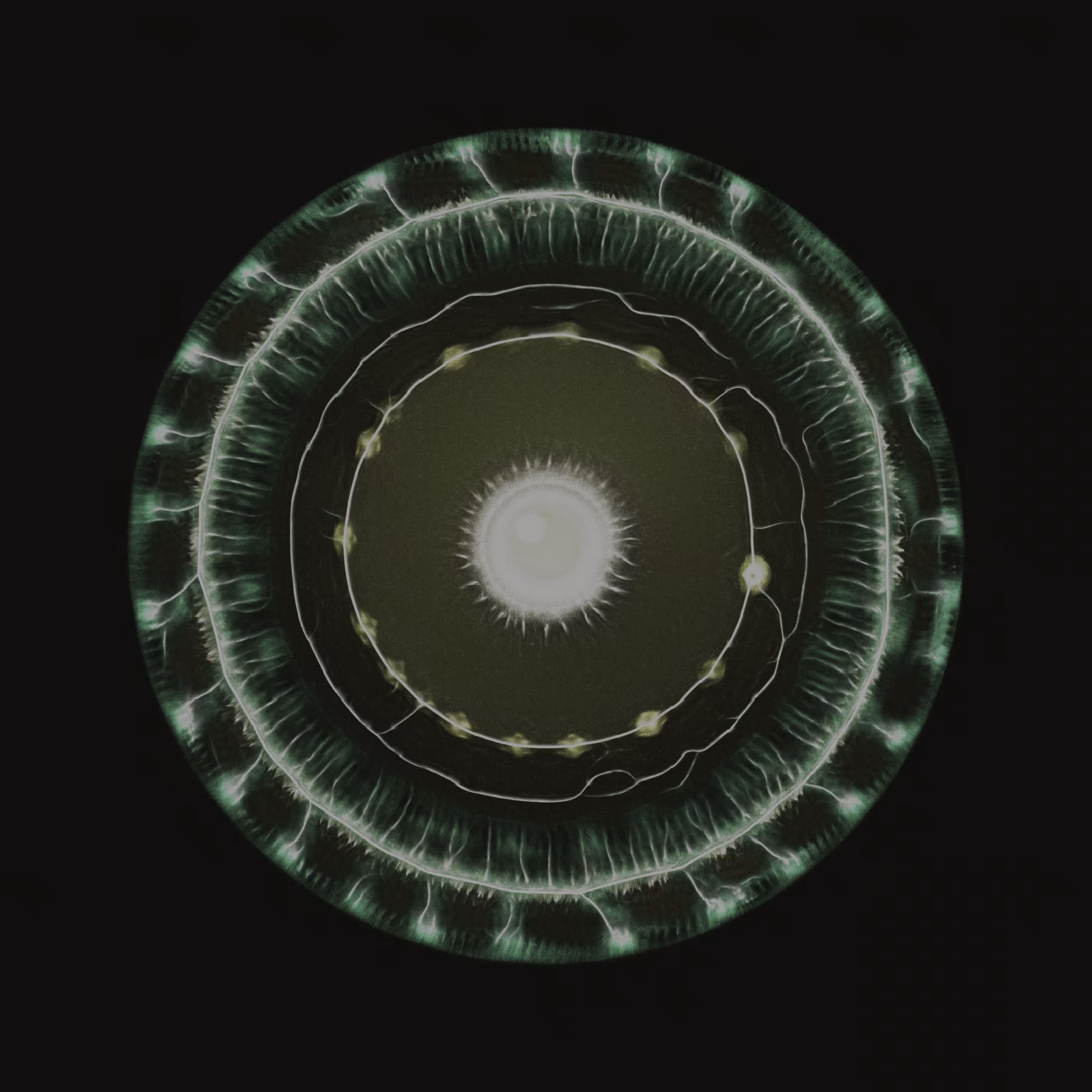 Lake Ouroboros