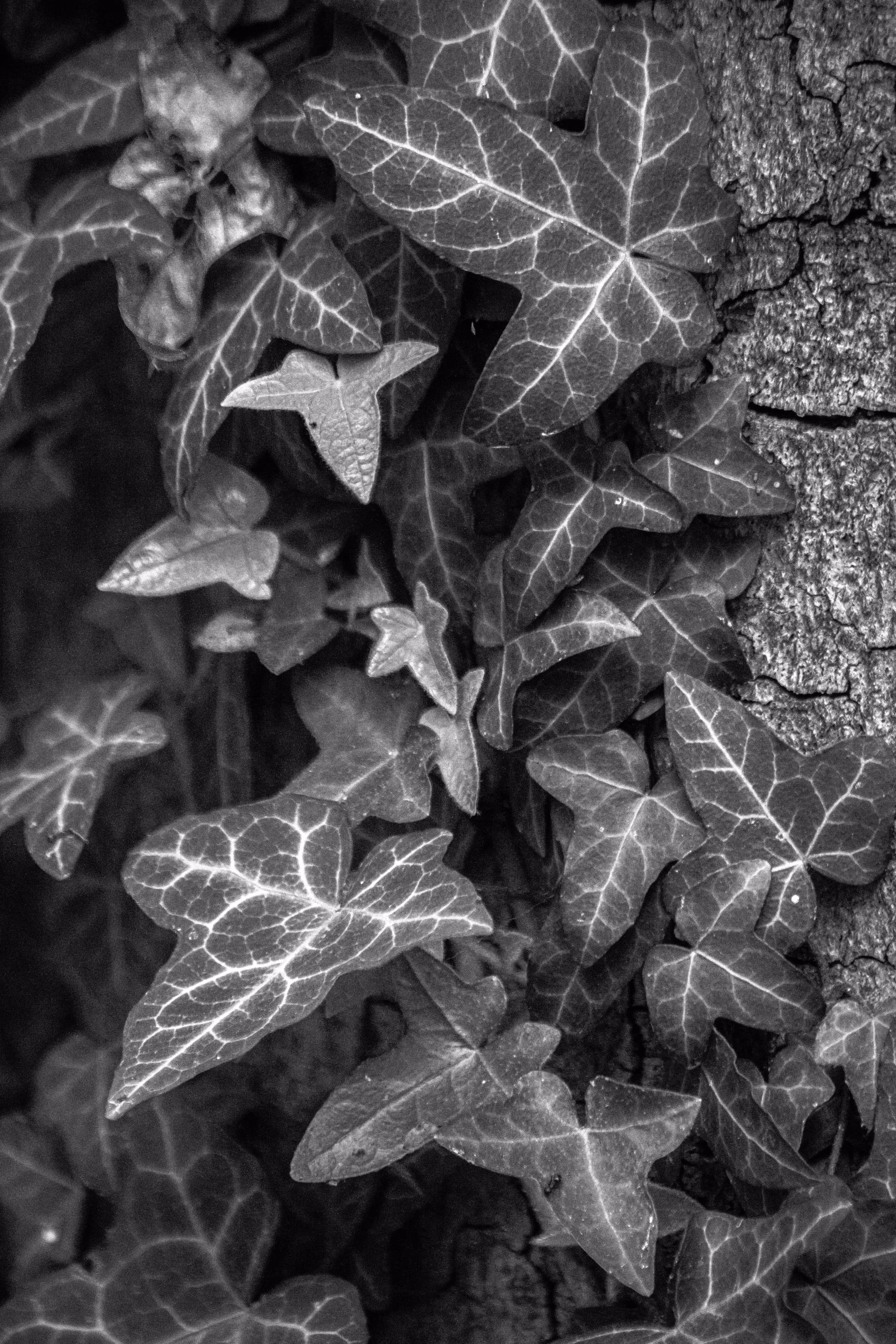 Entangled Structures