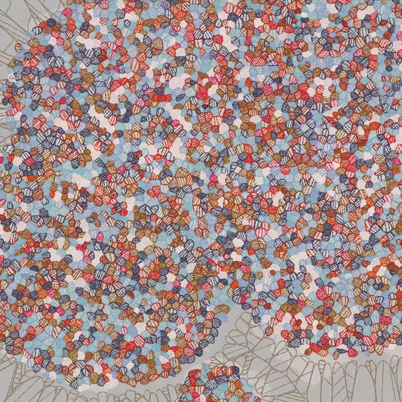 Fractured Cells #215