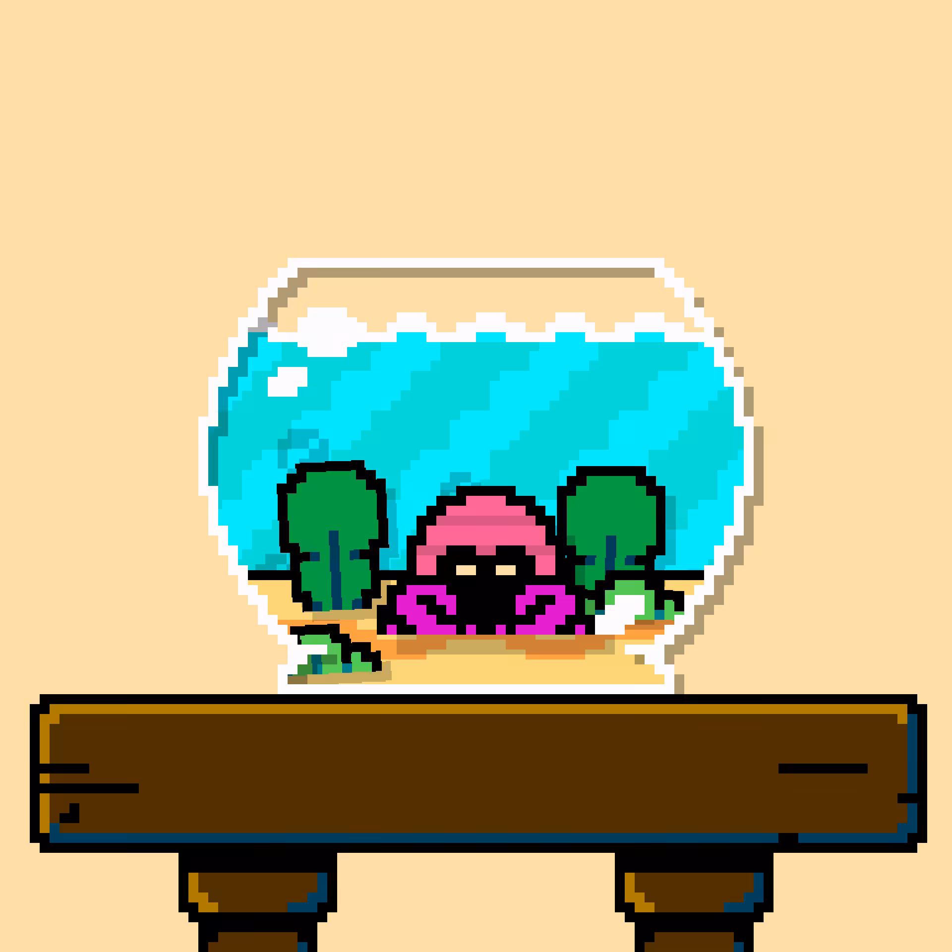 hermit crab #126