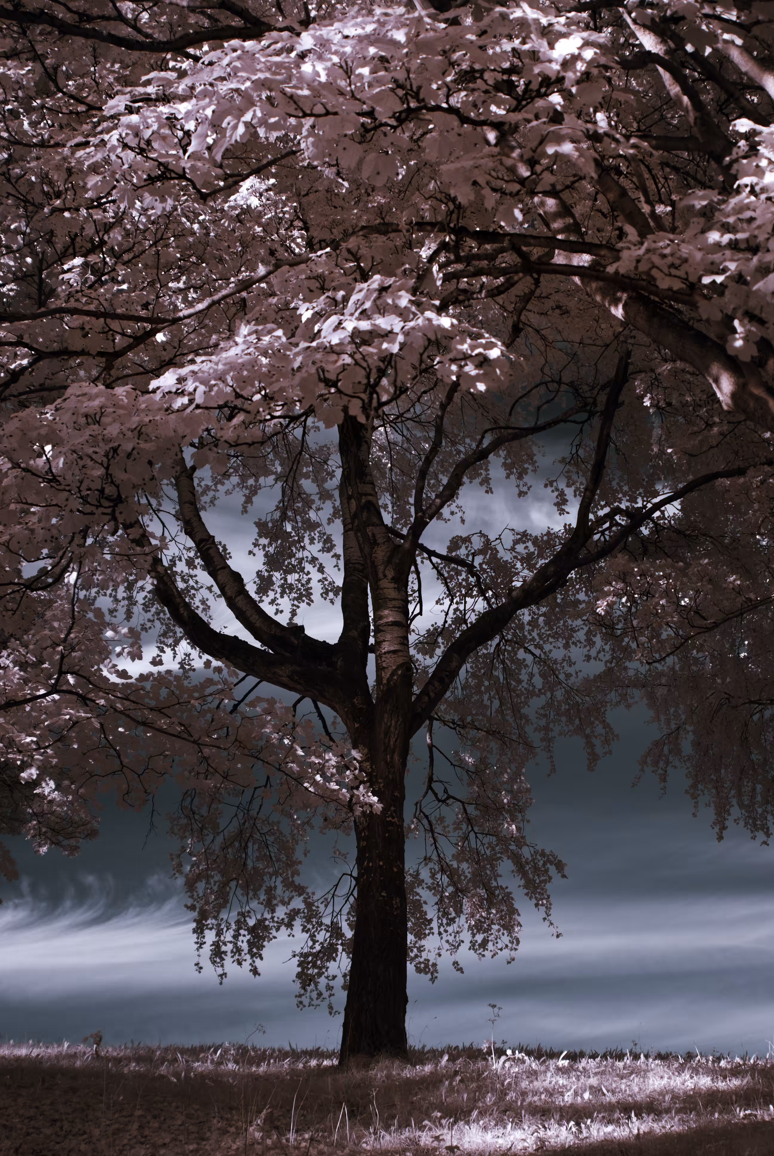Invisible Light #1