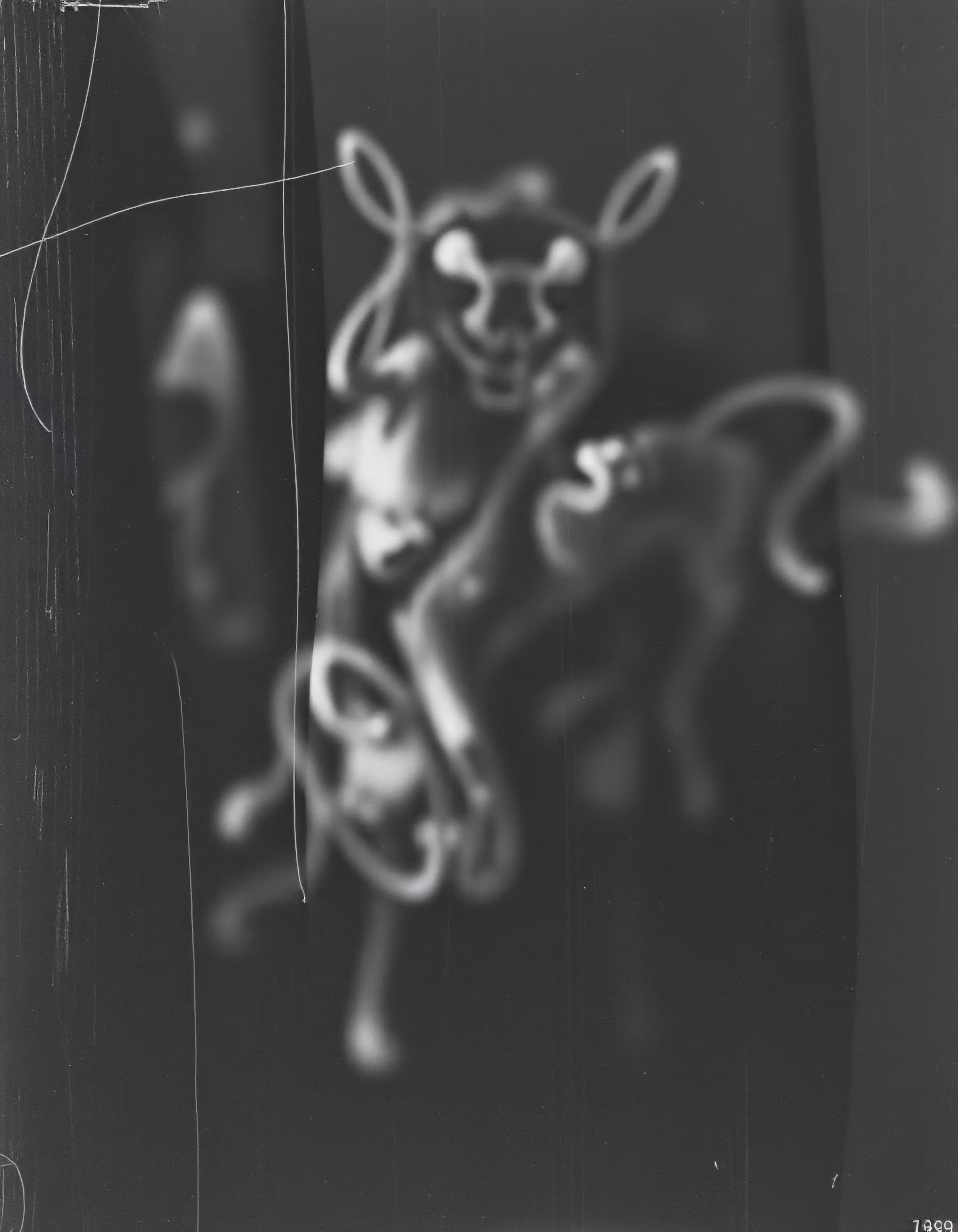 Paradox Post-Photography Archive #326