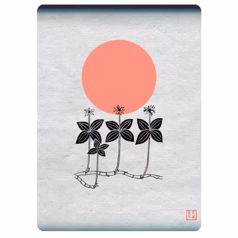 Zen flower card #14