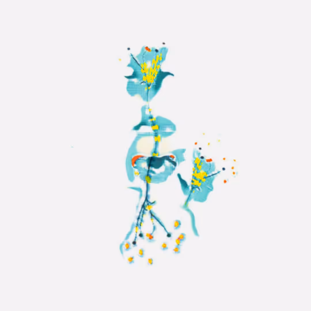 Las Flores — 03