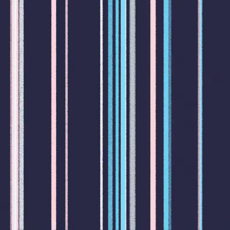 Stripes #77
