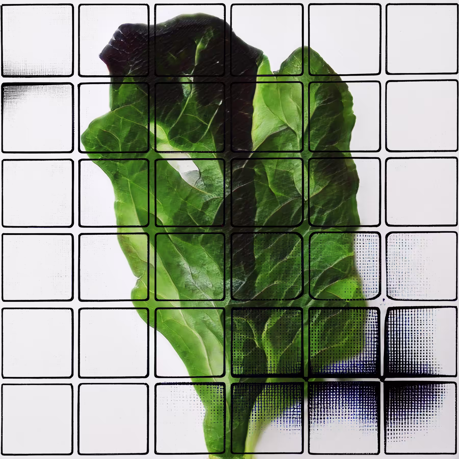 Hiems Monstrum