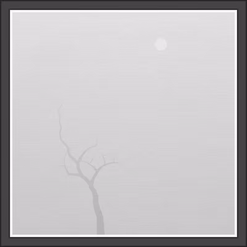 The Foggy Trees #115