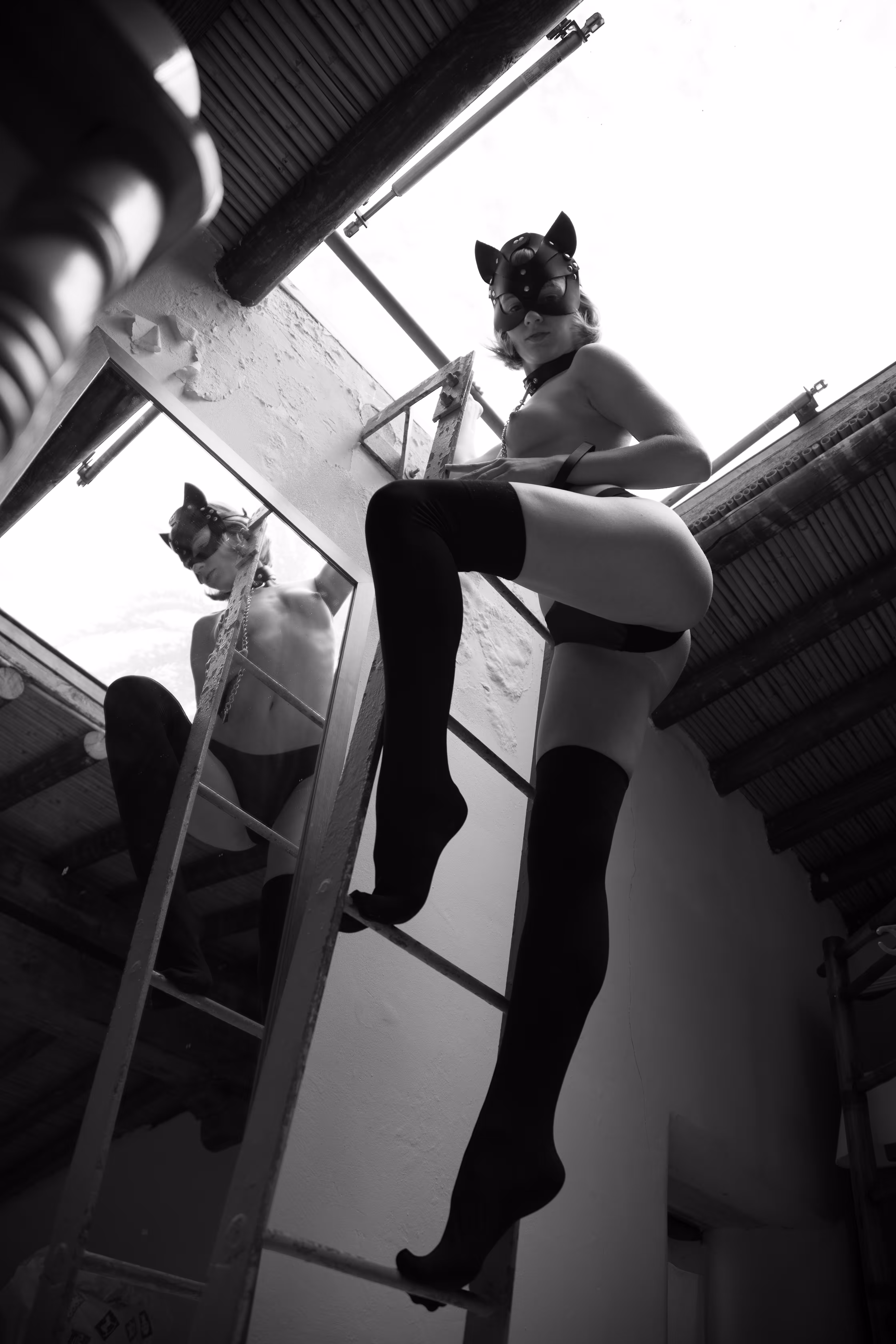 A Cat On My Roof