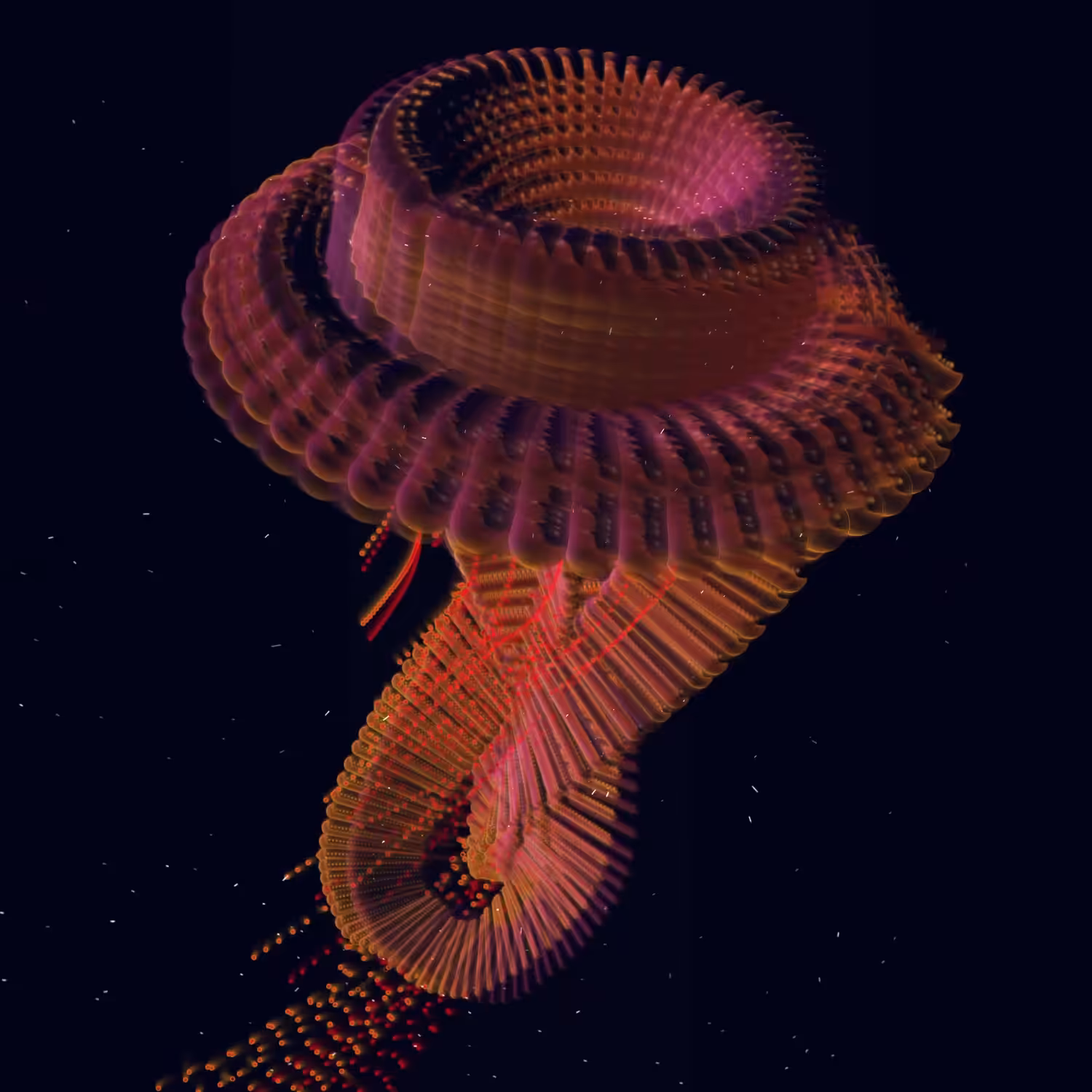 Jellyfish 1204 (2024) 