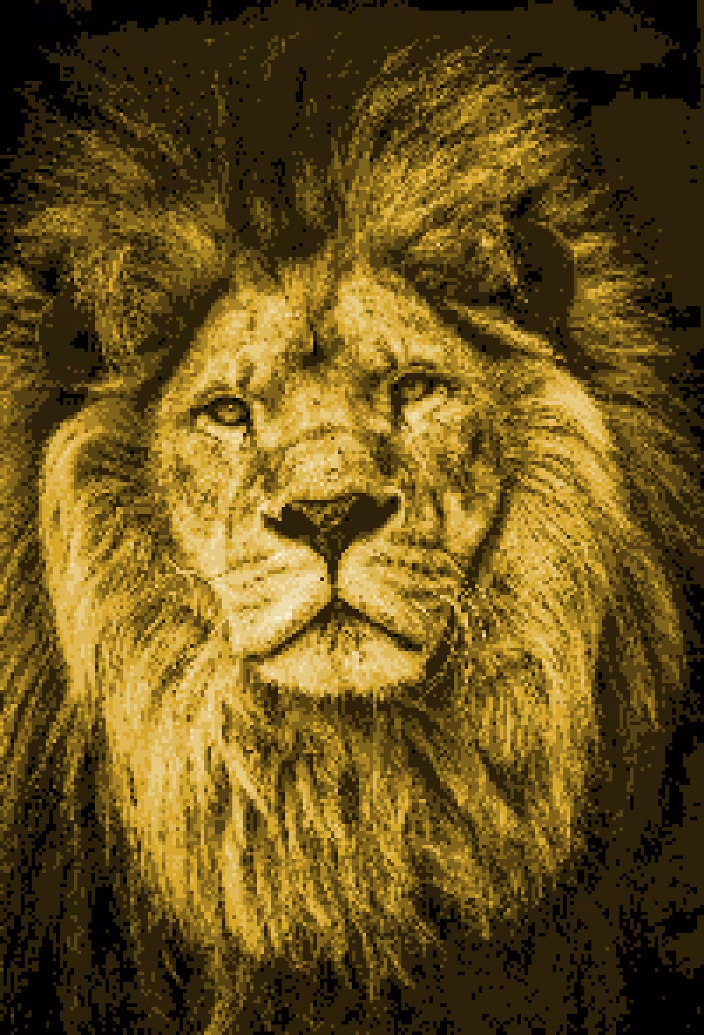 Lion #1