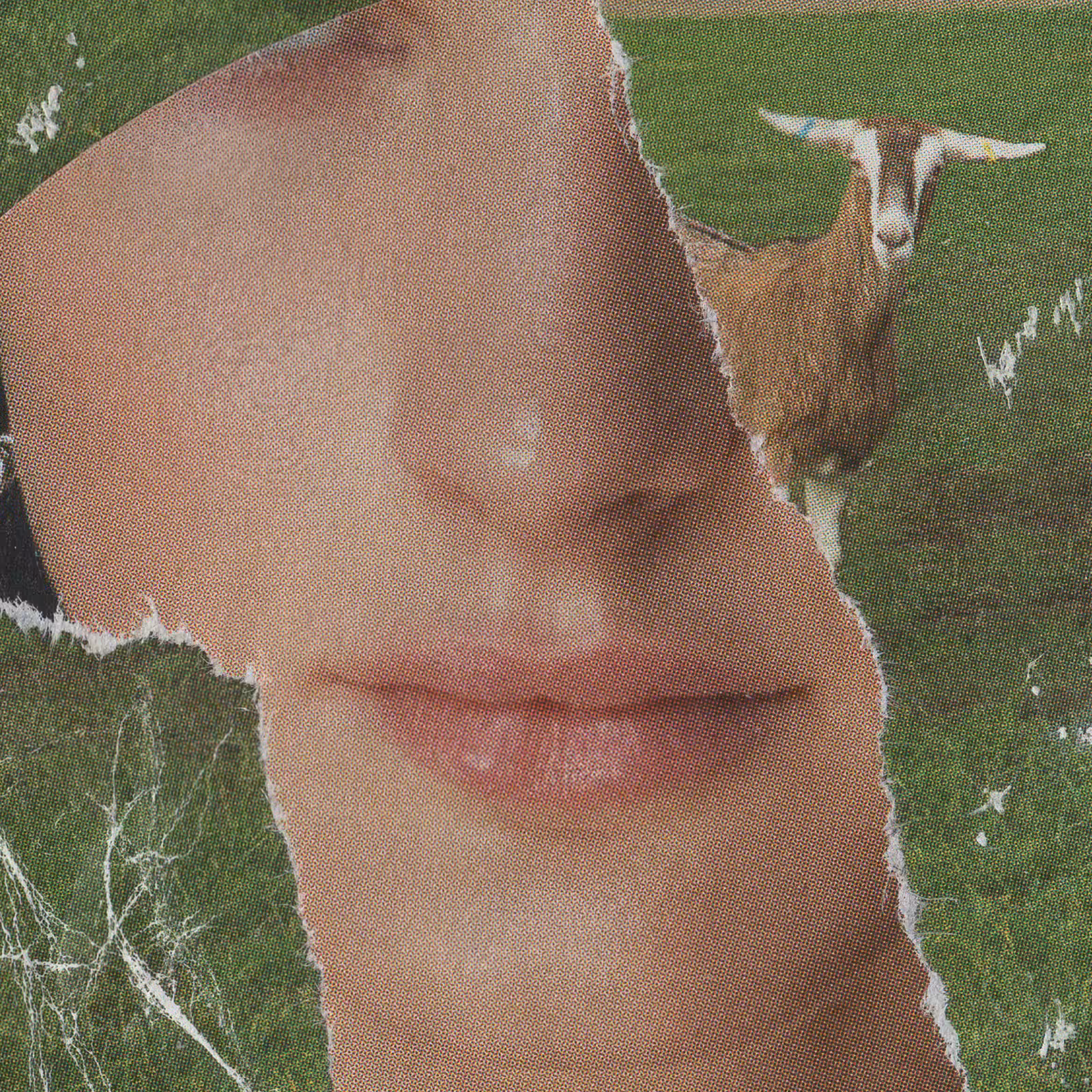 1mouth analog #196