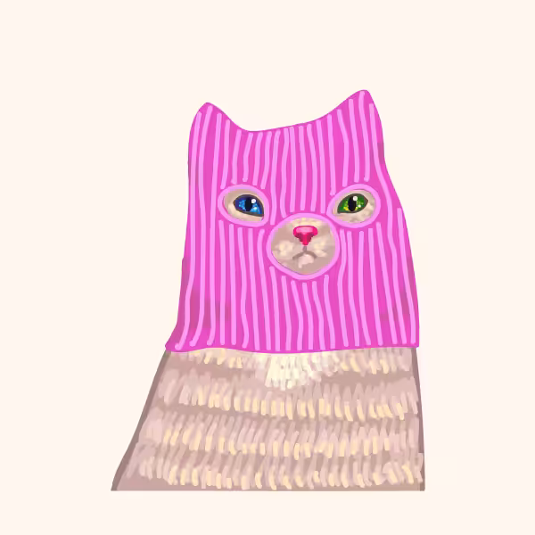 Kittens in balaclavas #41