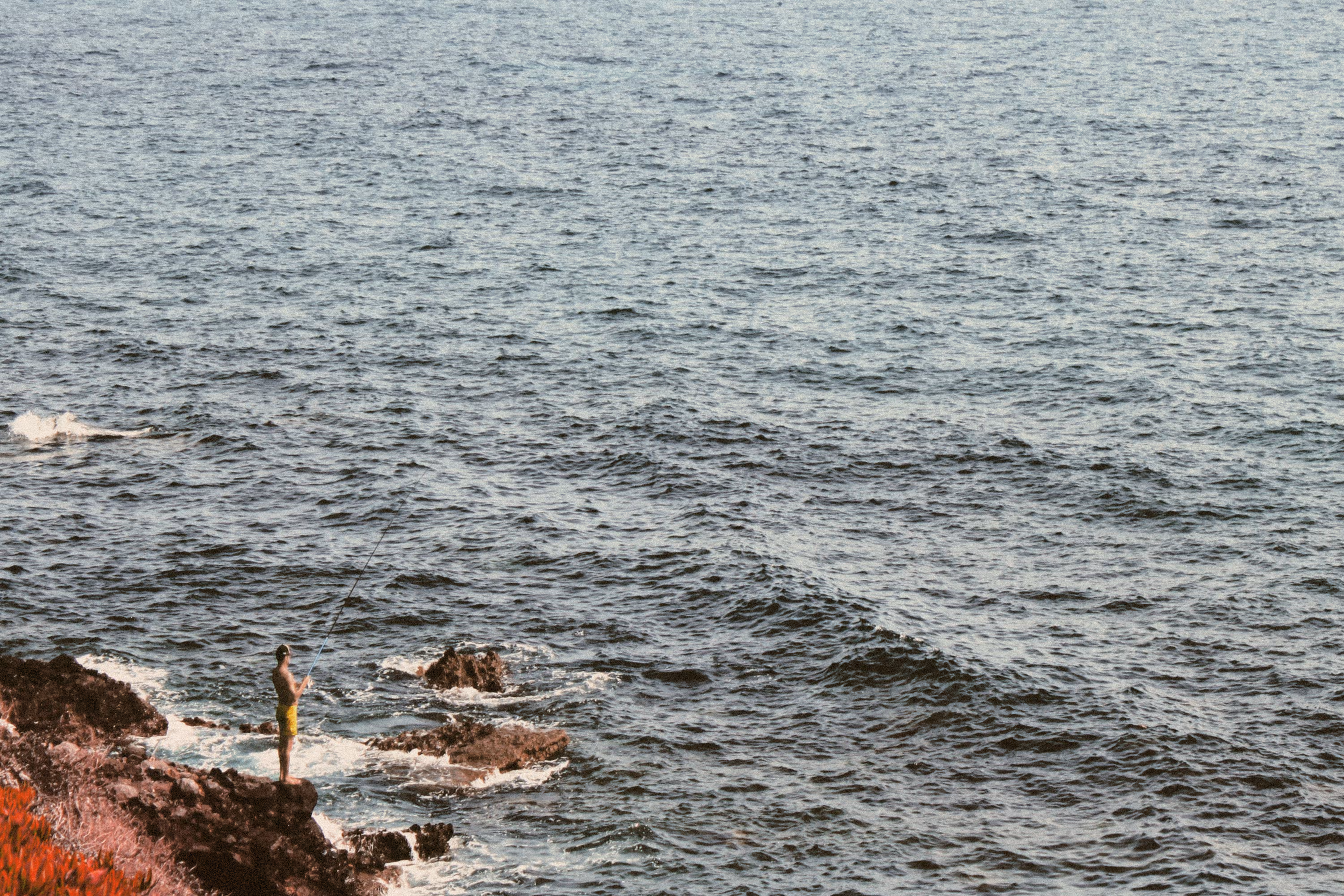 The Angler