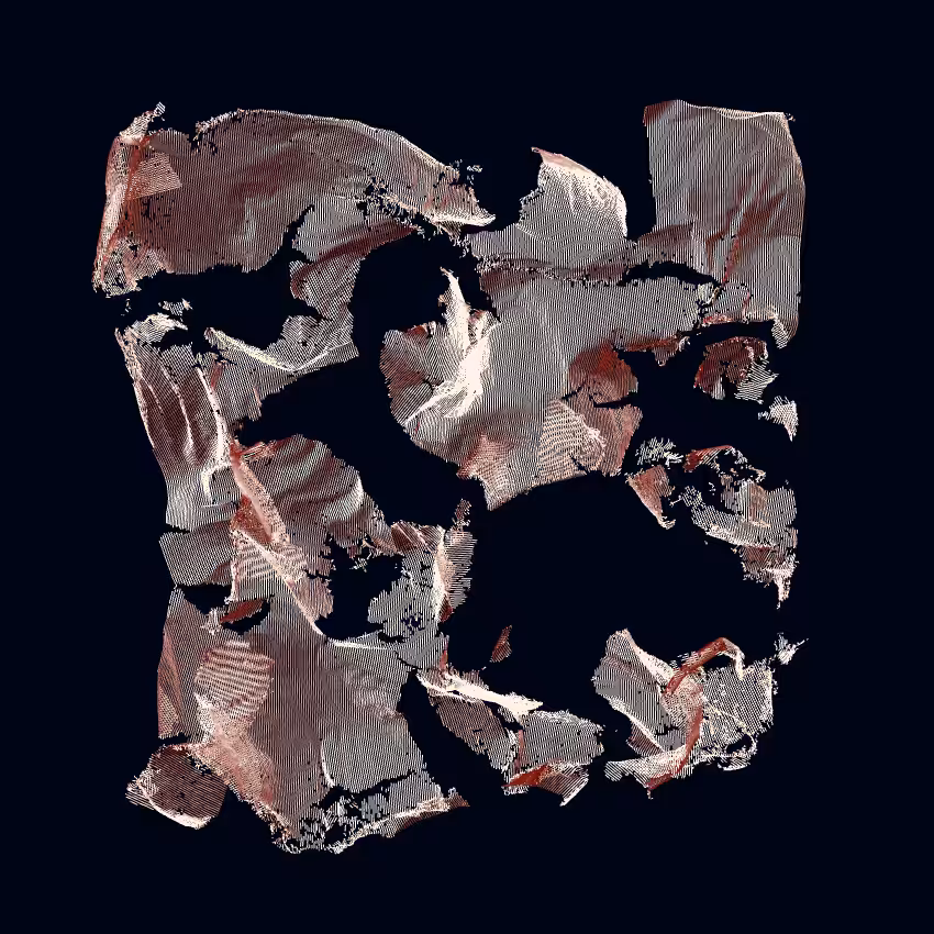 Fibril #77