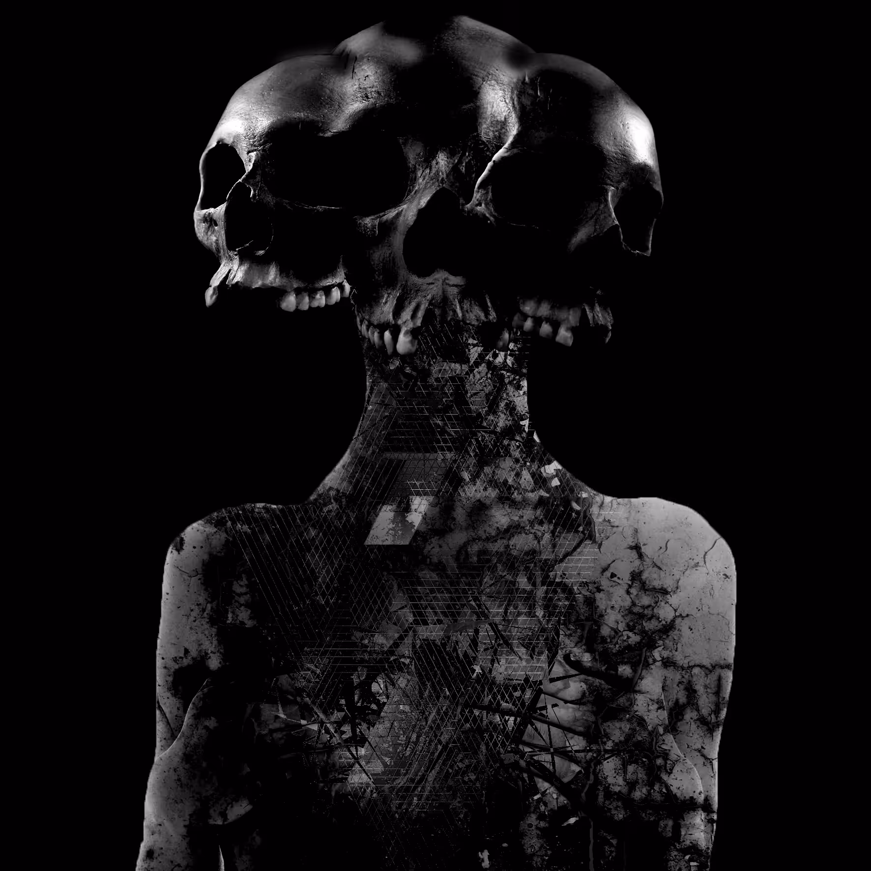 The Nightwatcher