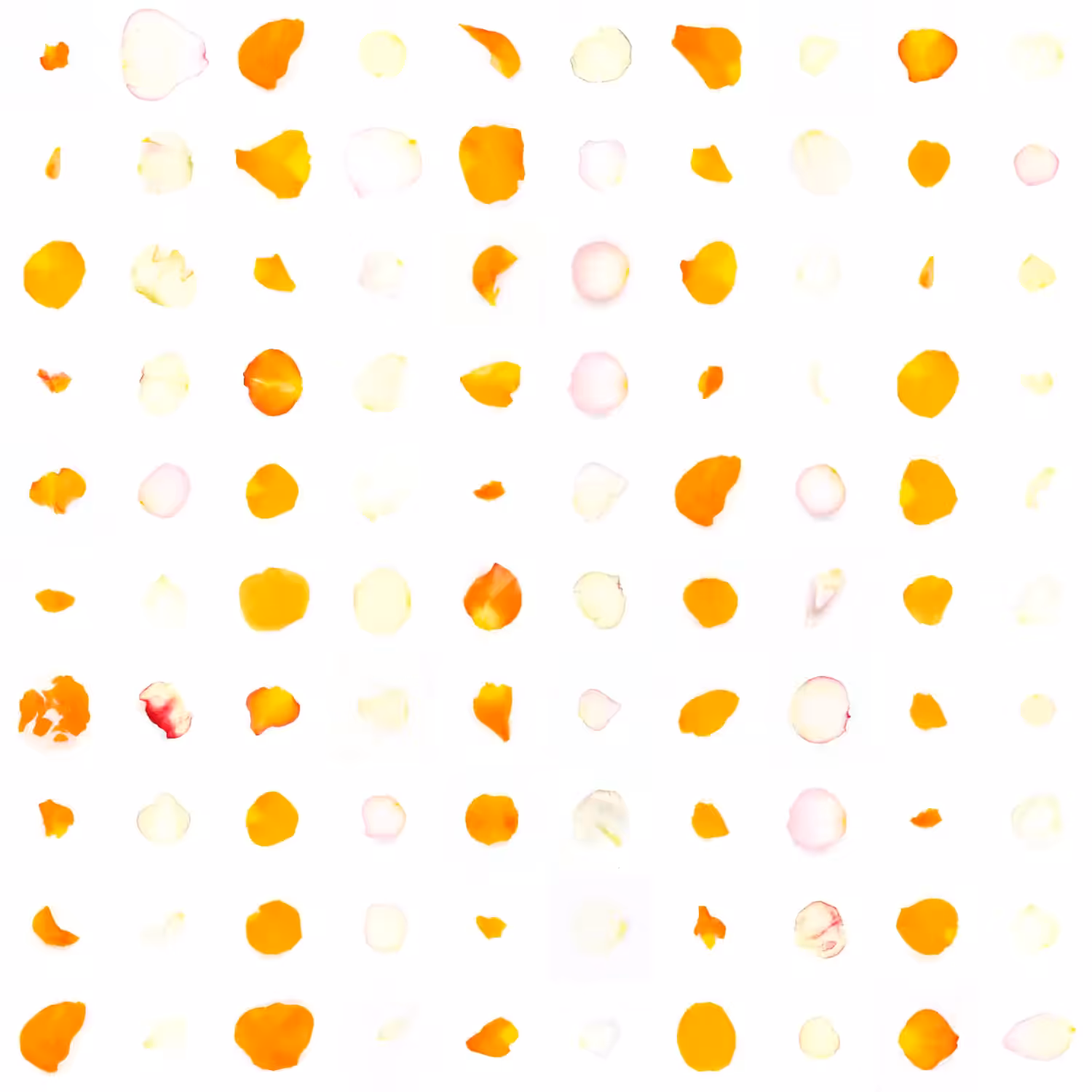 Infinite Petals 10x10#1649