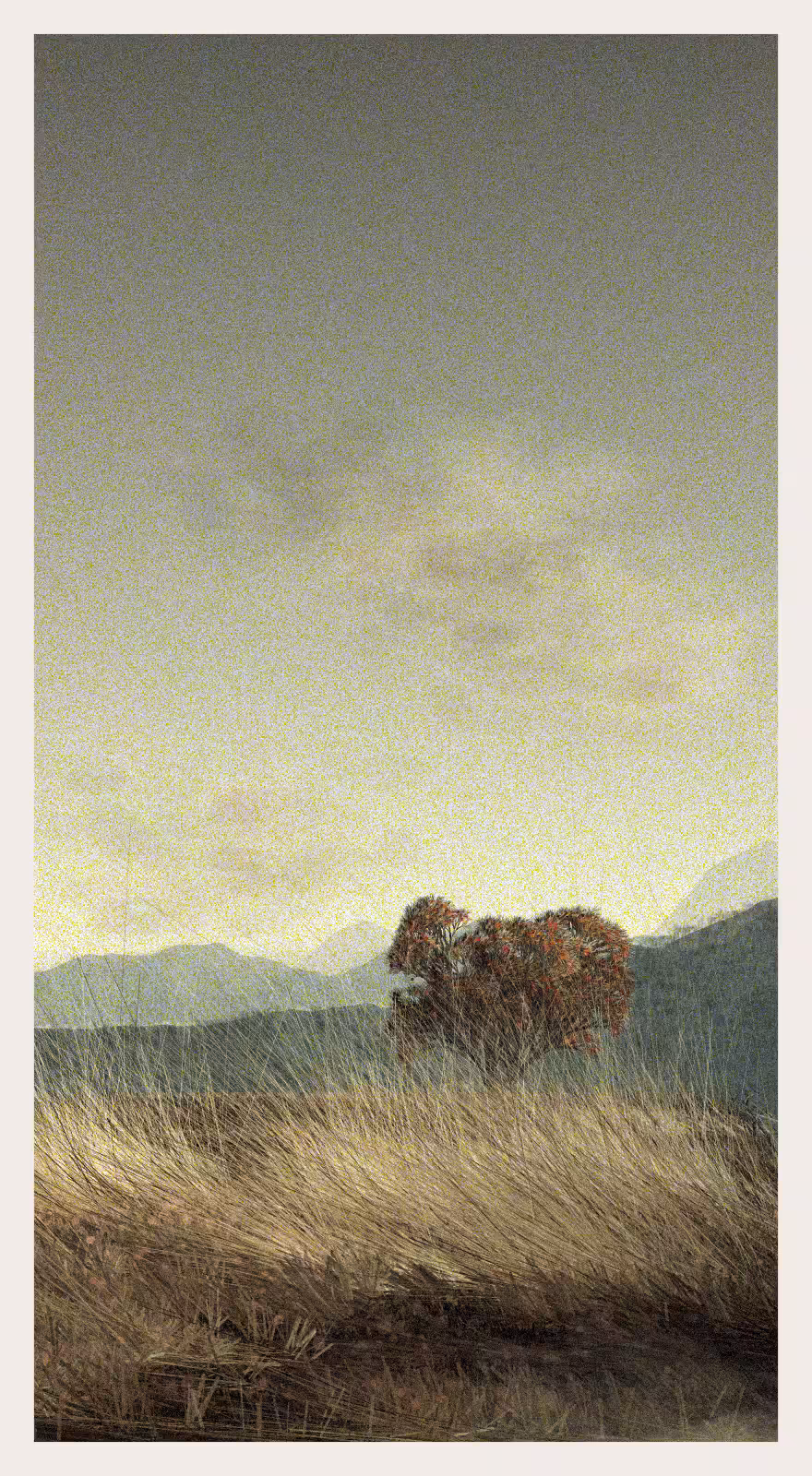 QTNN: Ledina #405