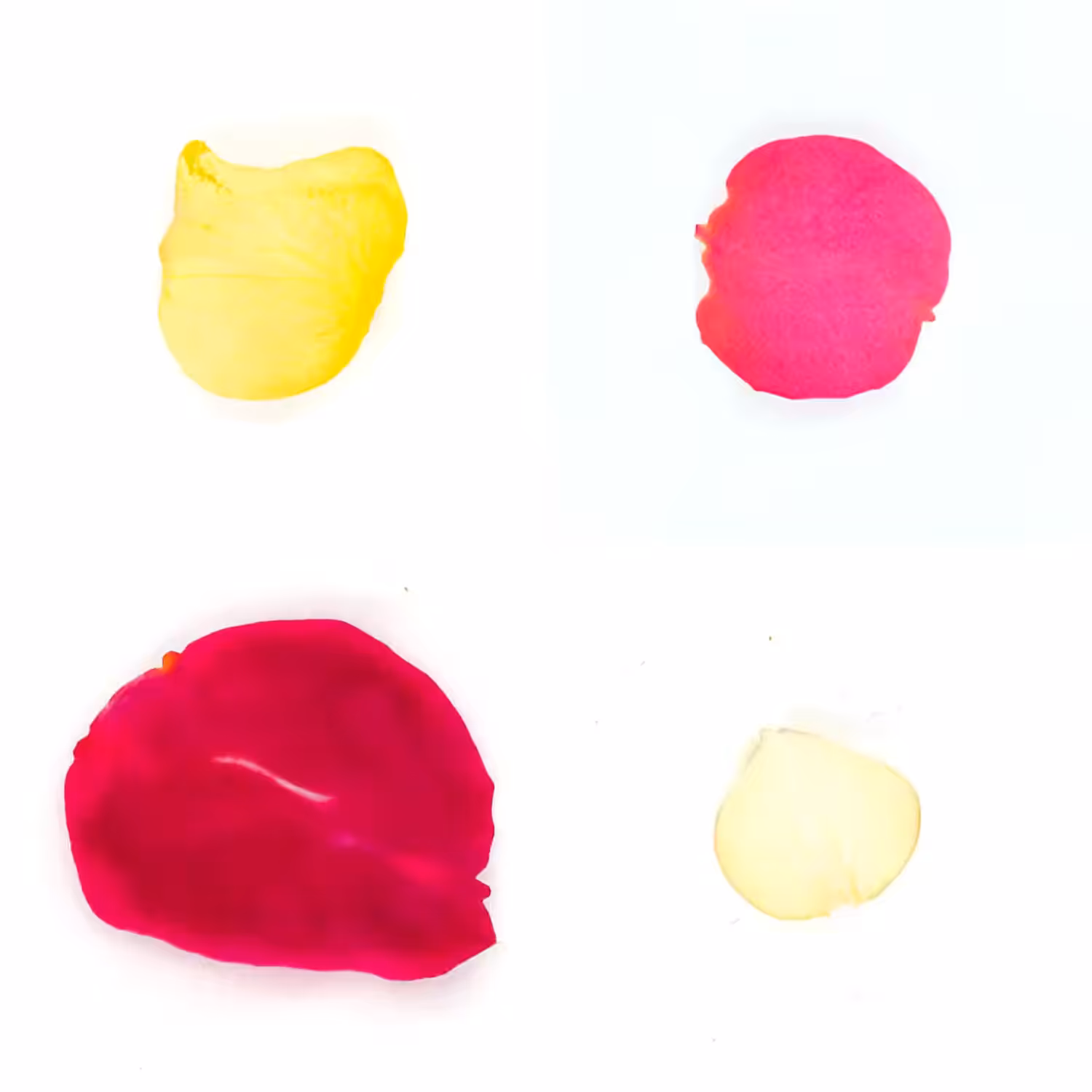 Infinite Petals 2x2#20341