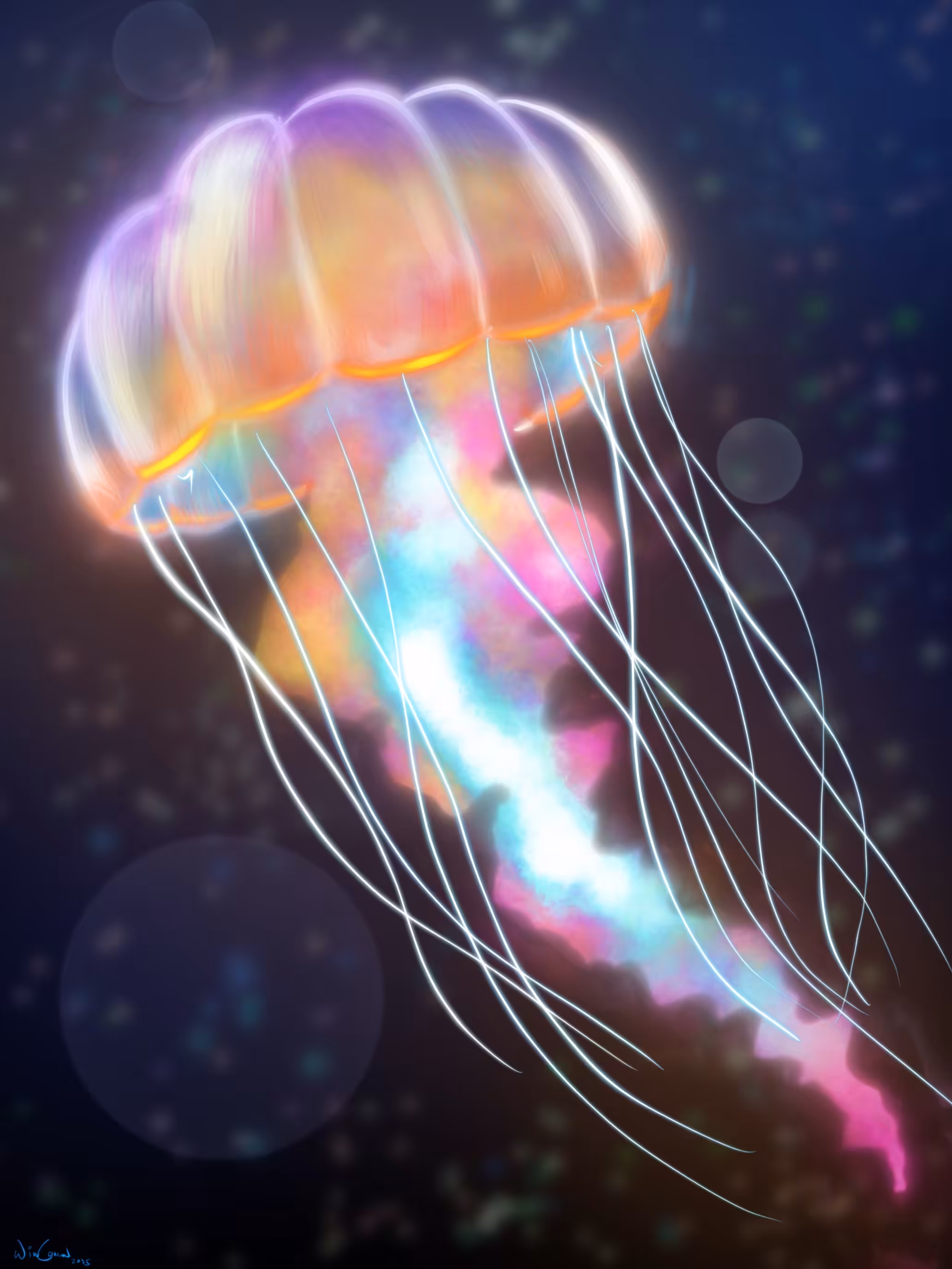 Jellyfish