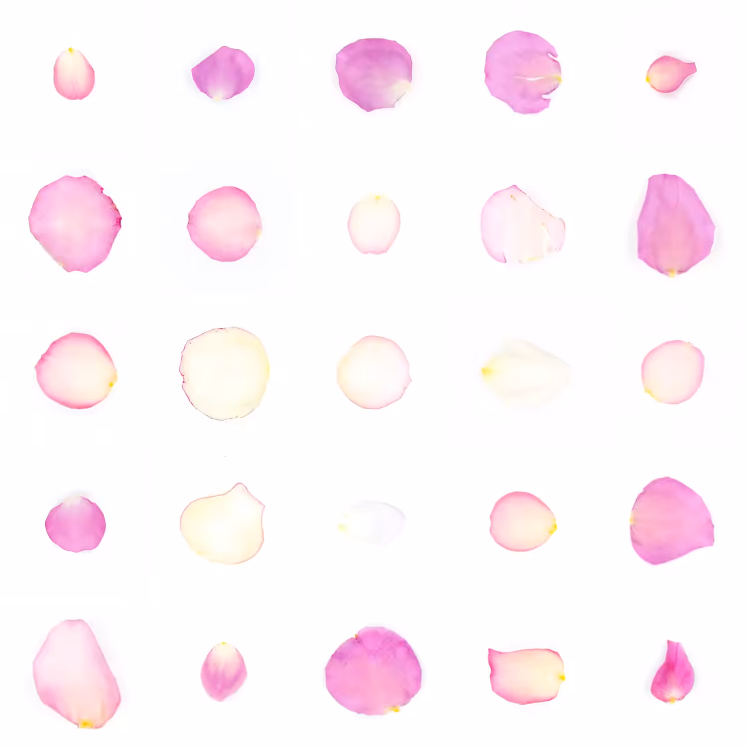 Infinite Petals 5x5#20366