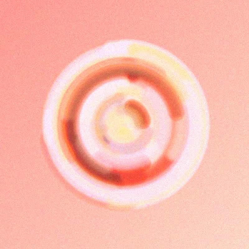 Wisp #840